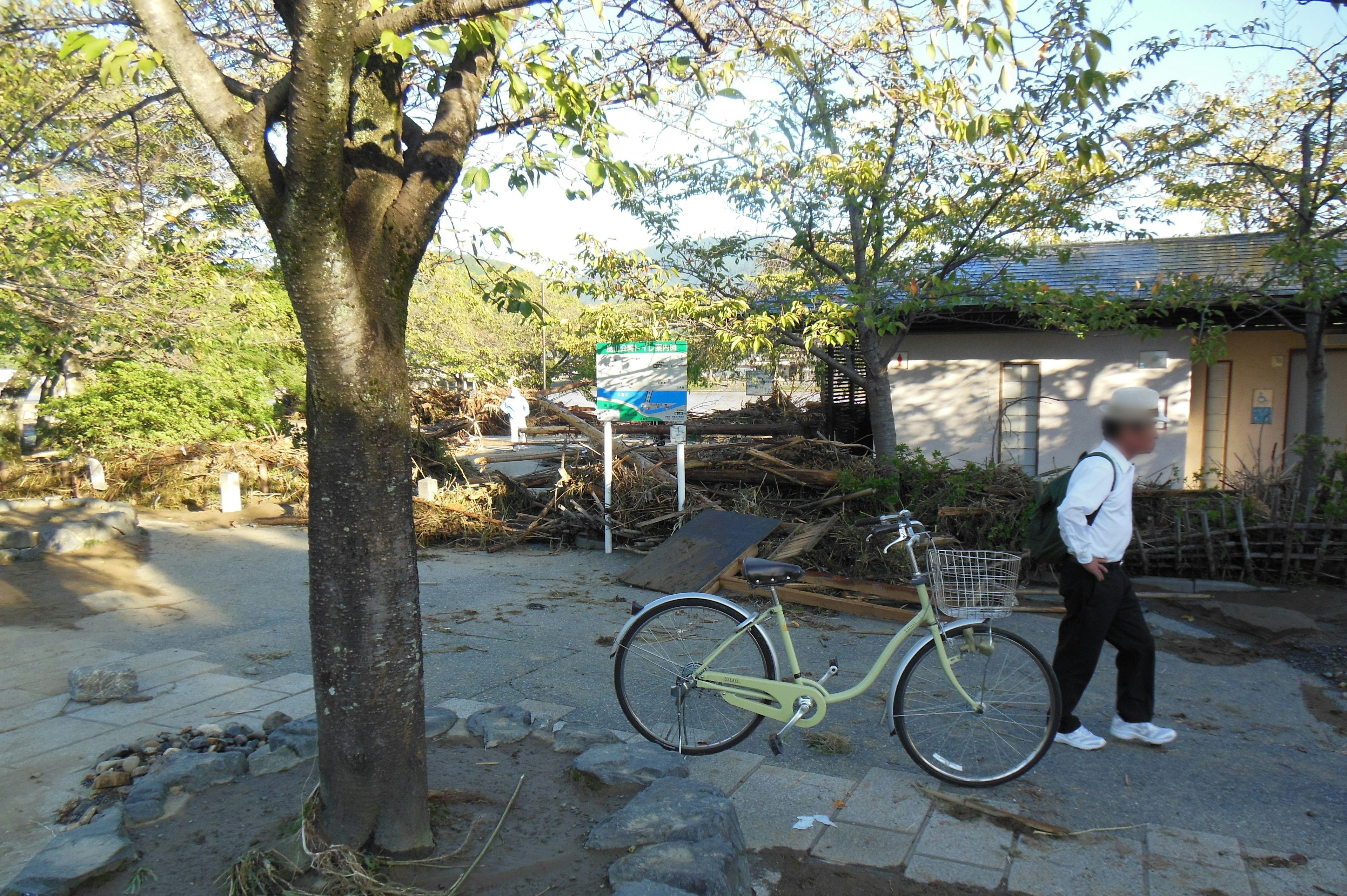 緑の自転車と白いシャツの男性が歩く公園の風景