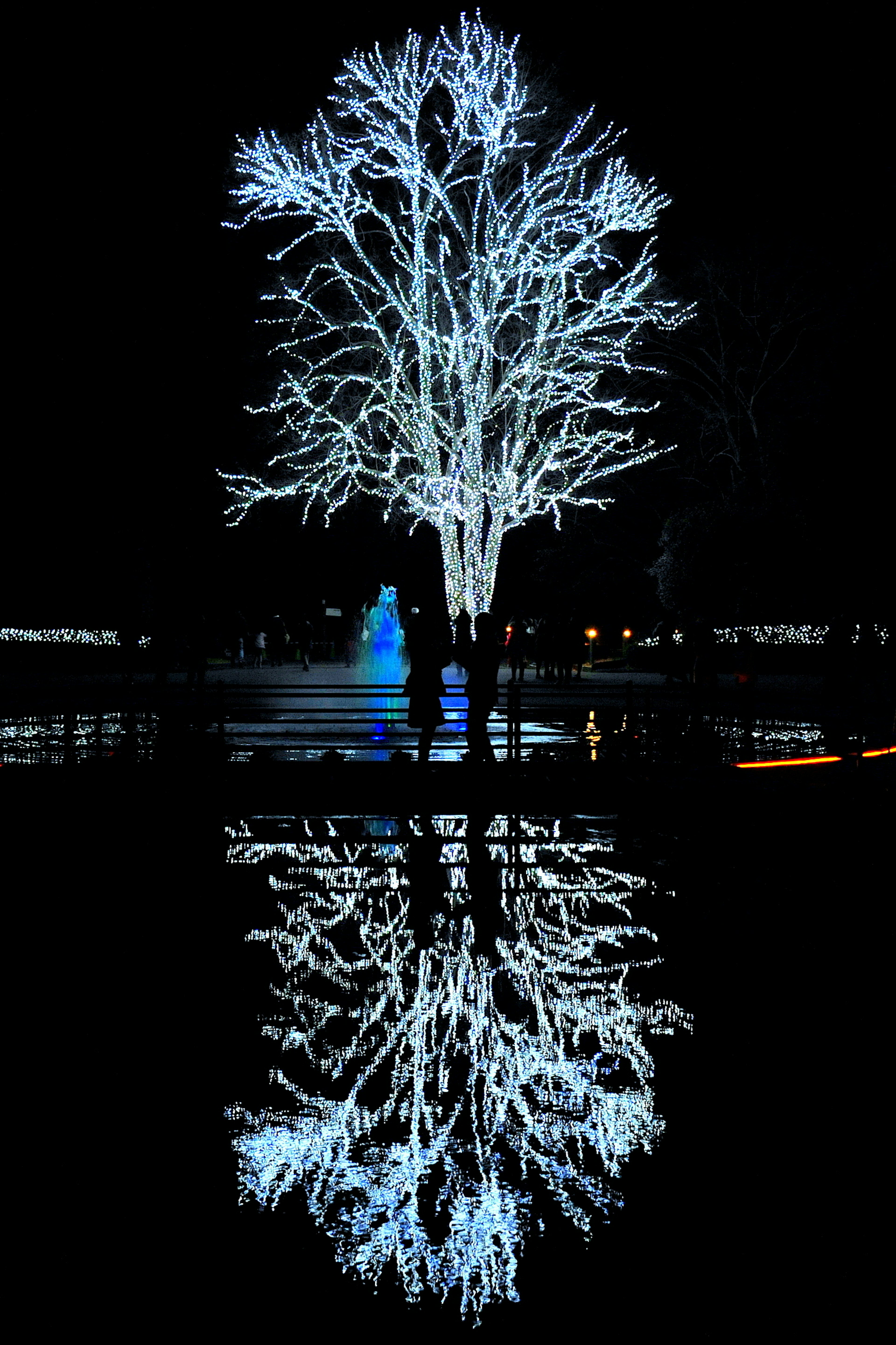 Beleuchtete Baumskulptur, die sich nachts im Wasser spiegelt