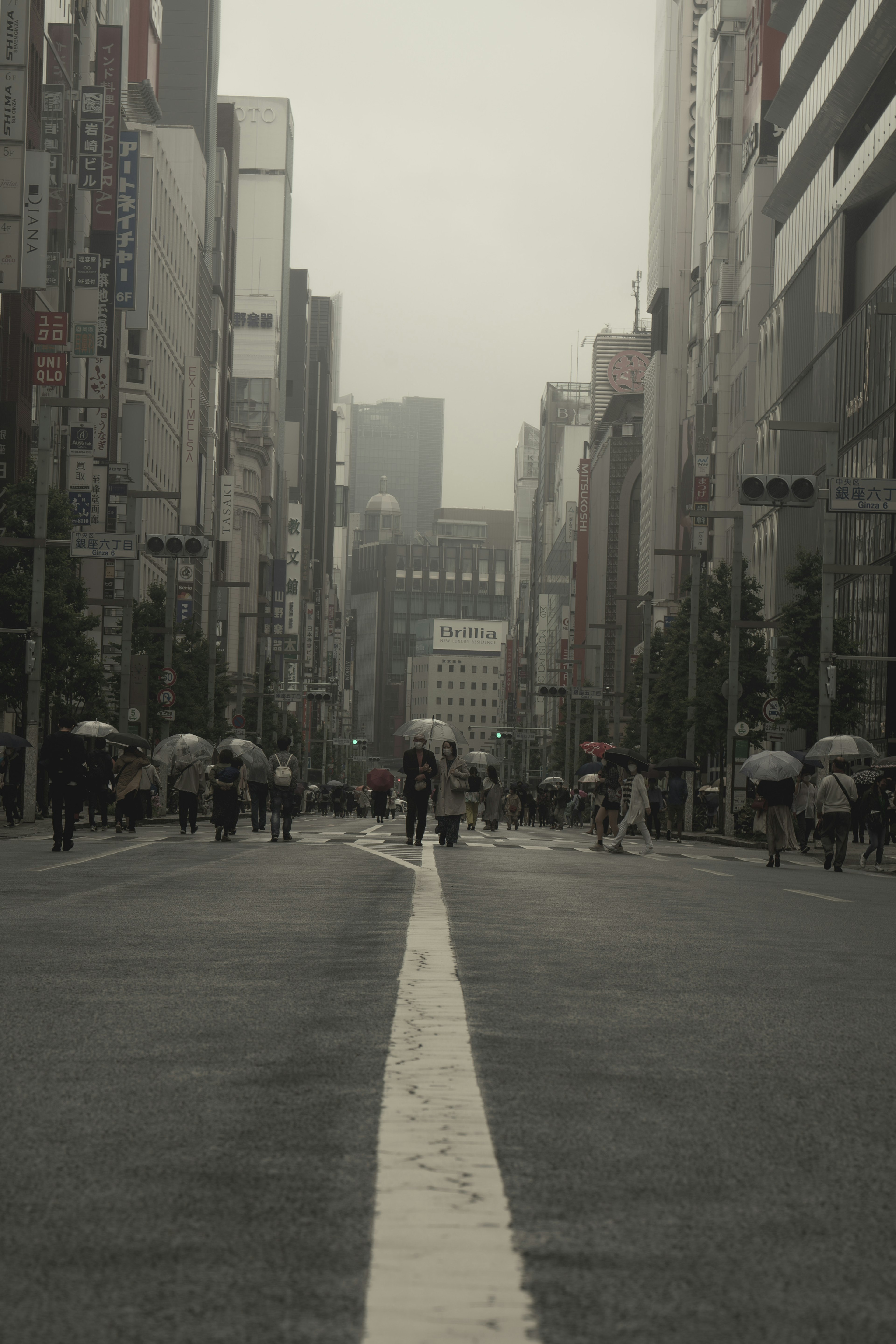 Urban landscape in the rain with people holding umbrellas