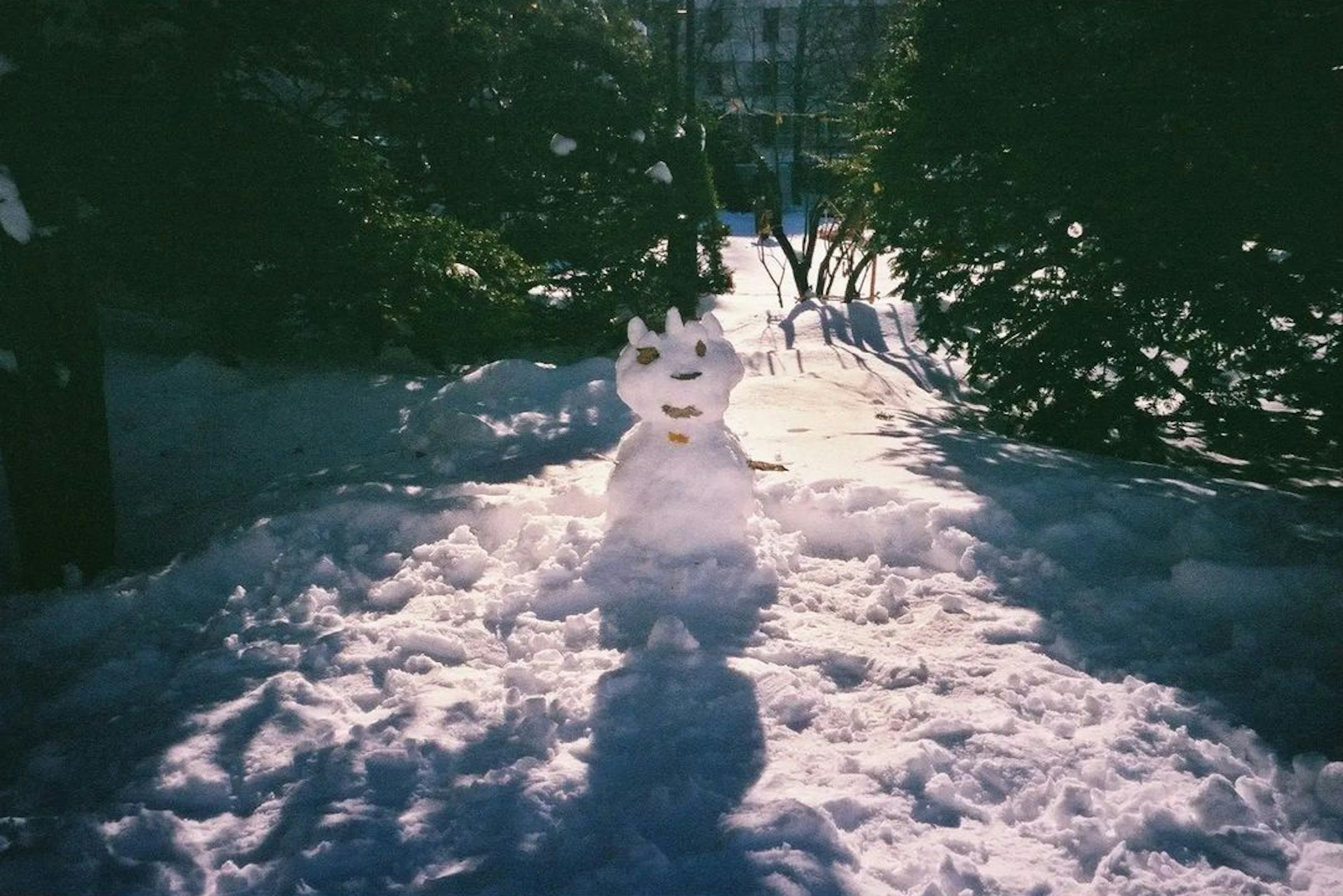 雪の中に立つ雪だるまの顔が見える