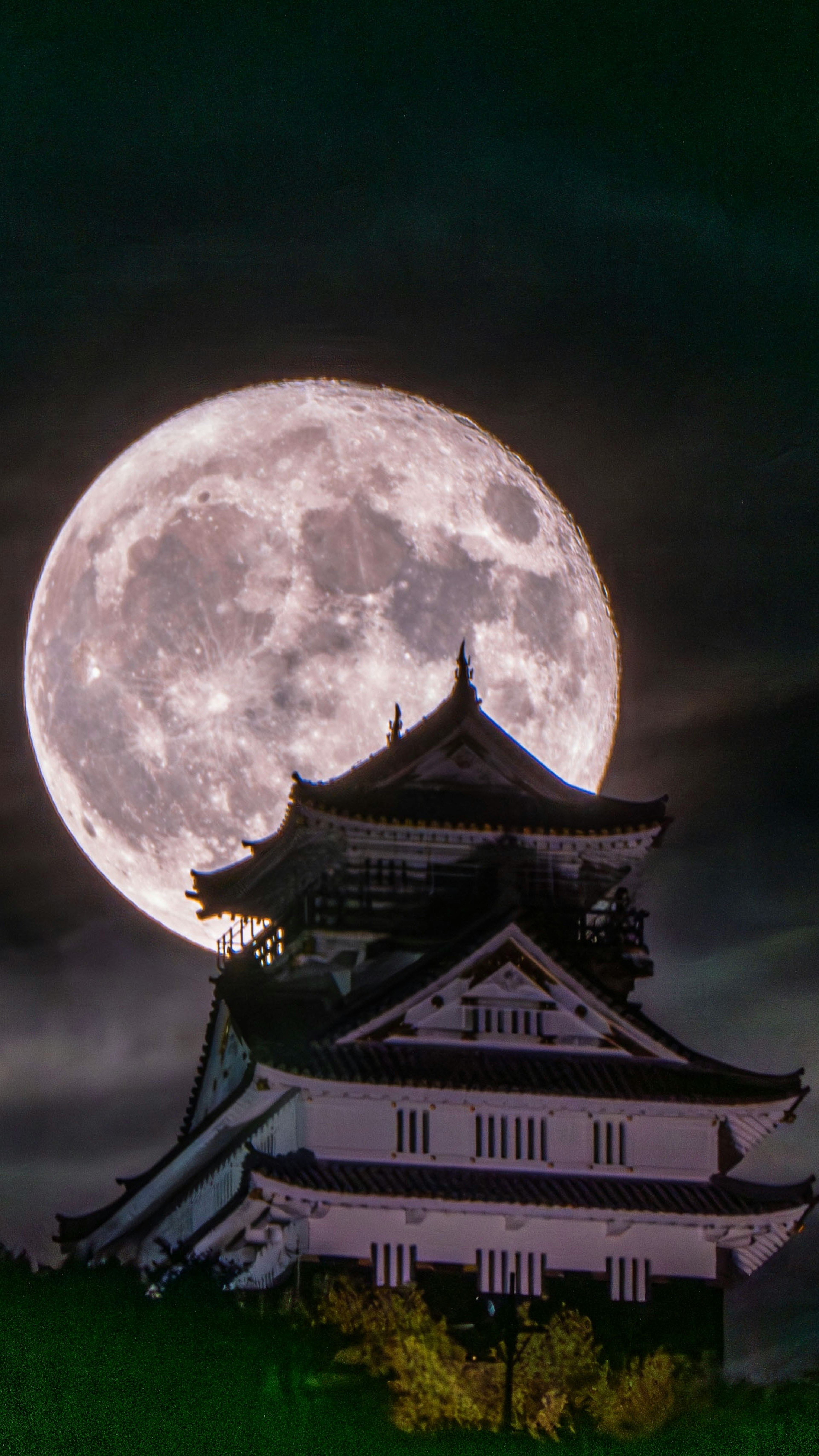 Silueta de un hermoso castillo contra una luna llena