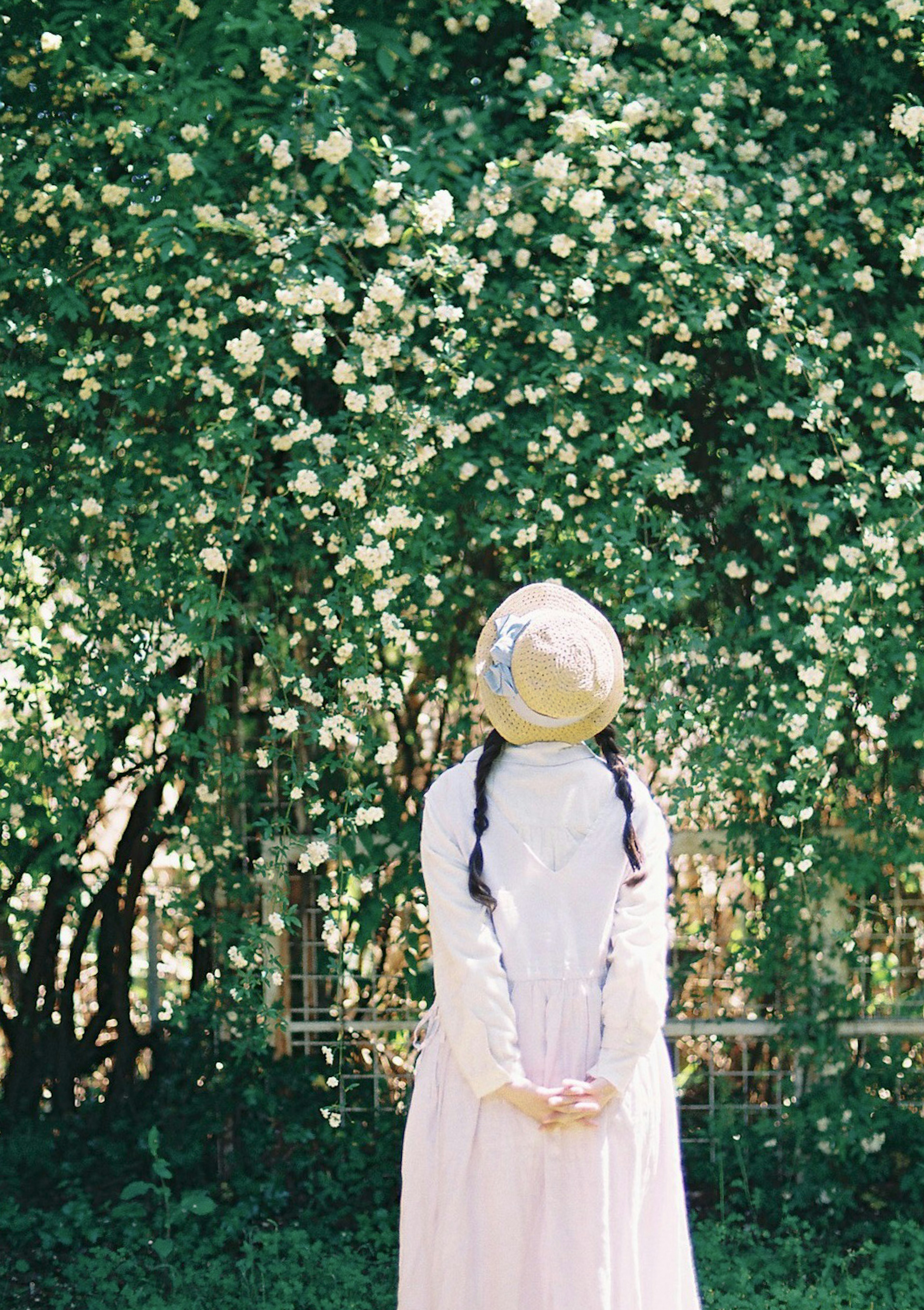 Una mujer con un vestido blanco y un sombrero dorado está de pie frente a un árbol en flor