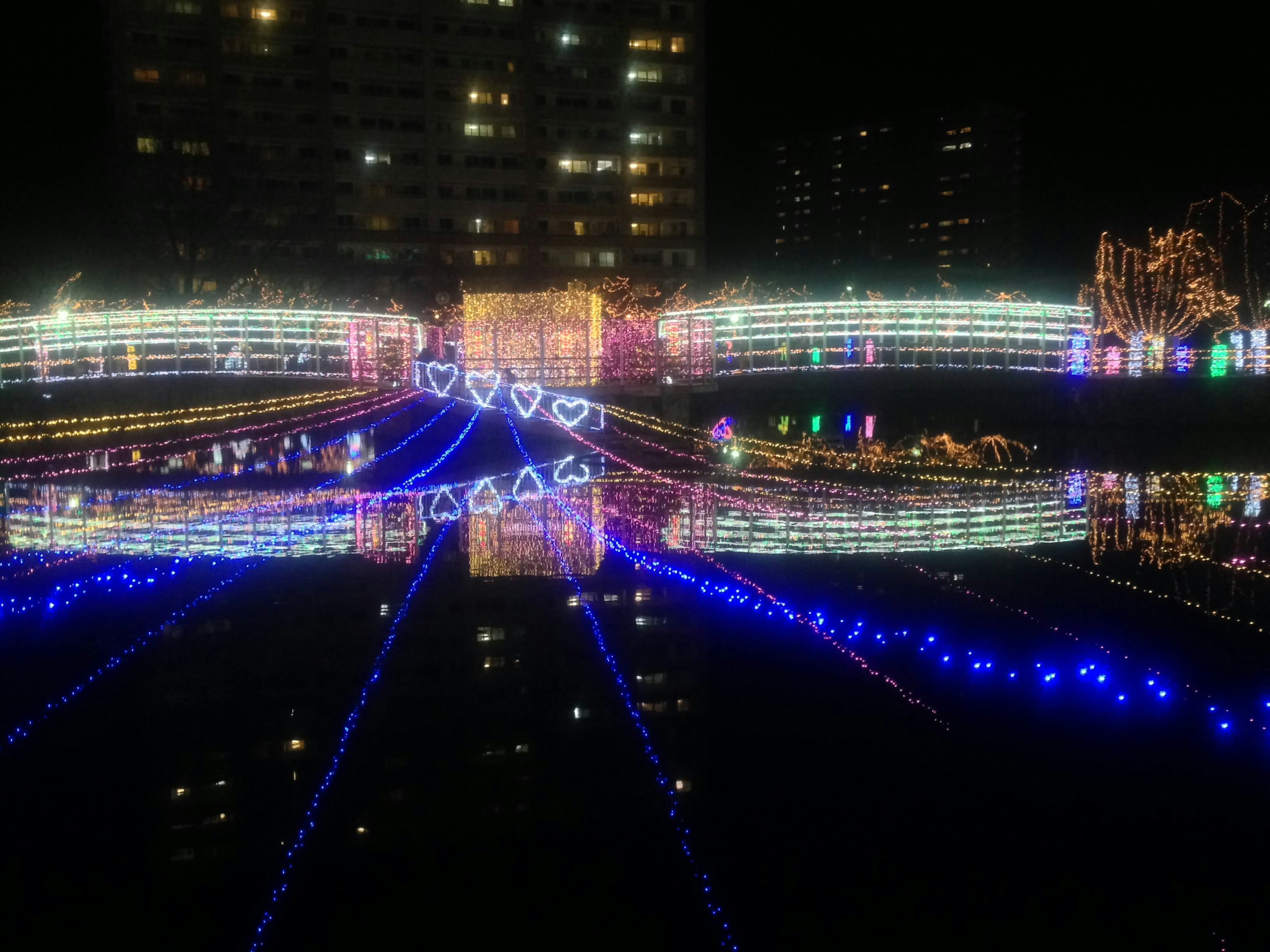 Schöne nächtliche Aussicht auf beleuchtete Lichter, die sich auf einem Teich spiegeln