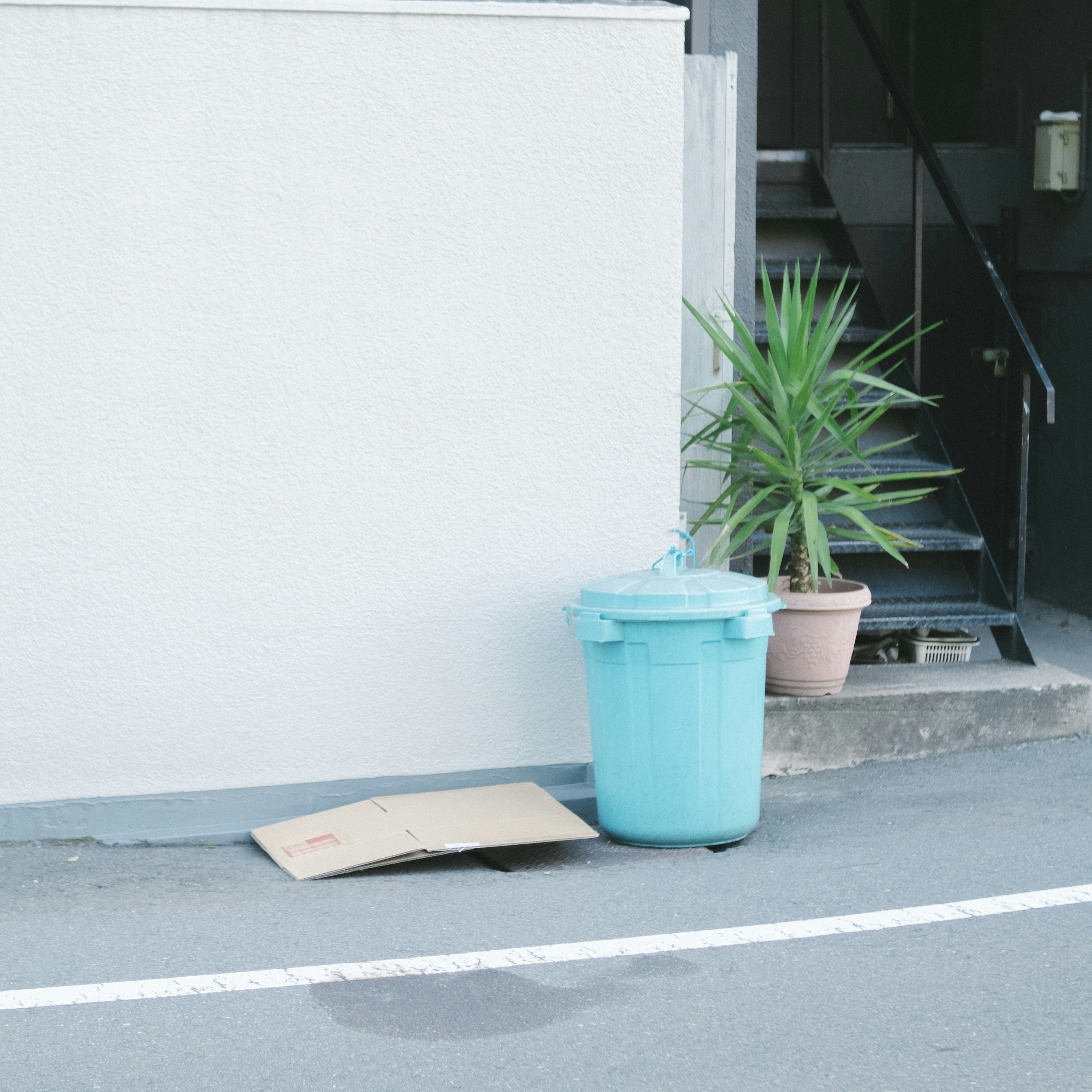 青いゴミ箱と植物がある街角の景色