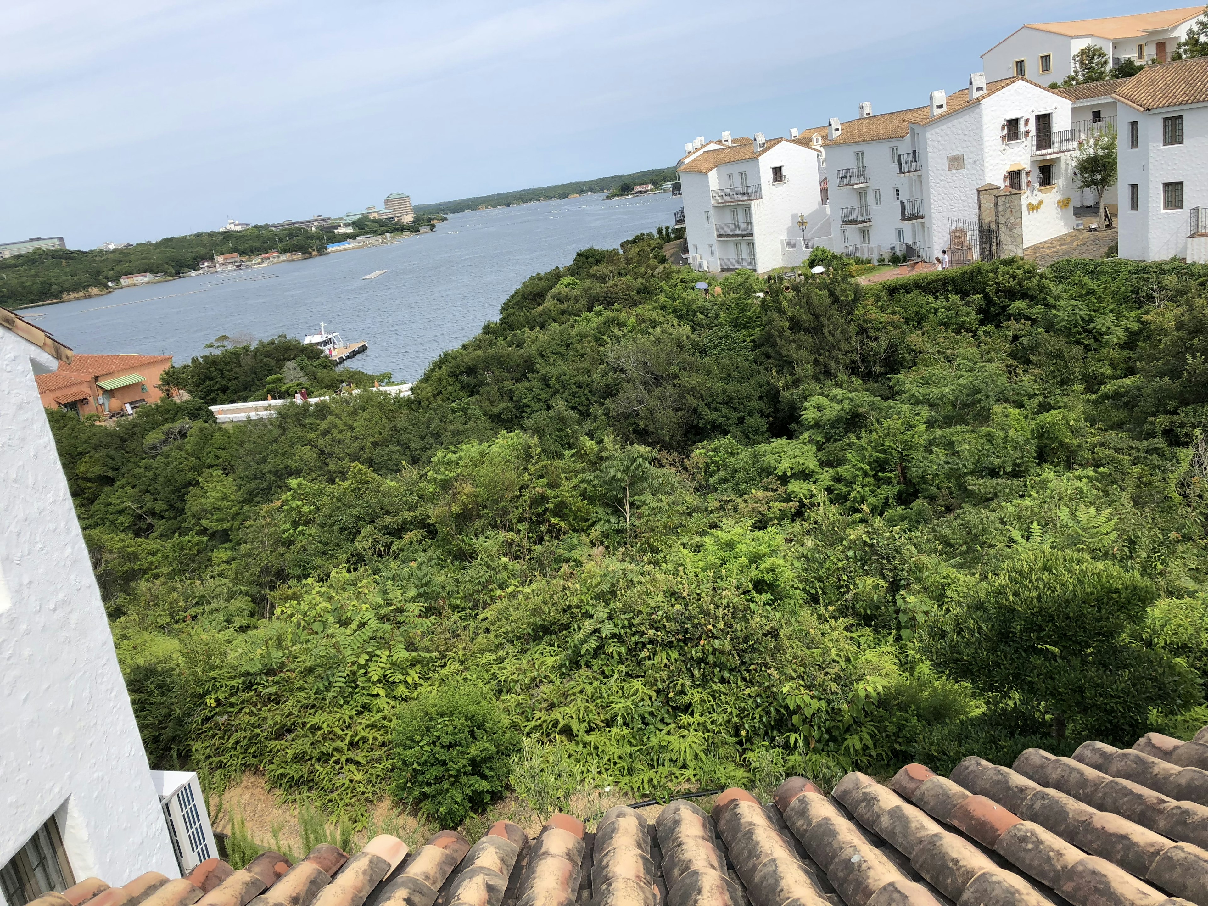 海岸景觀，綠樹成蔭和住宅建築