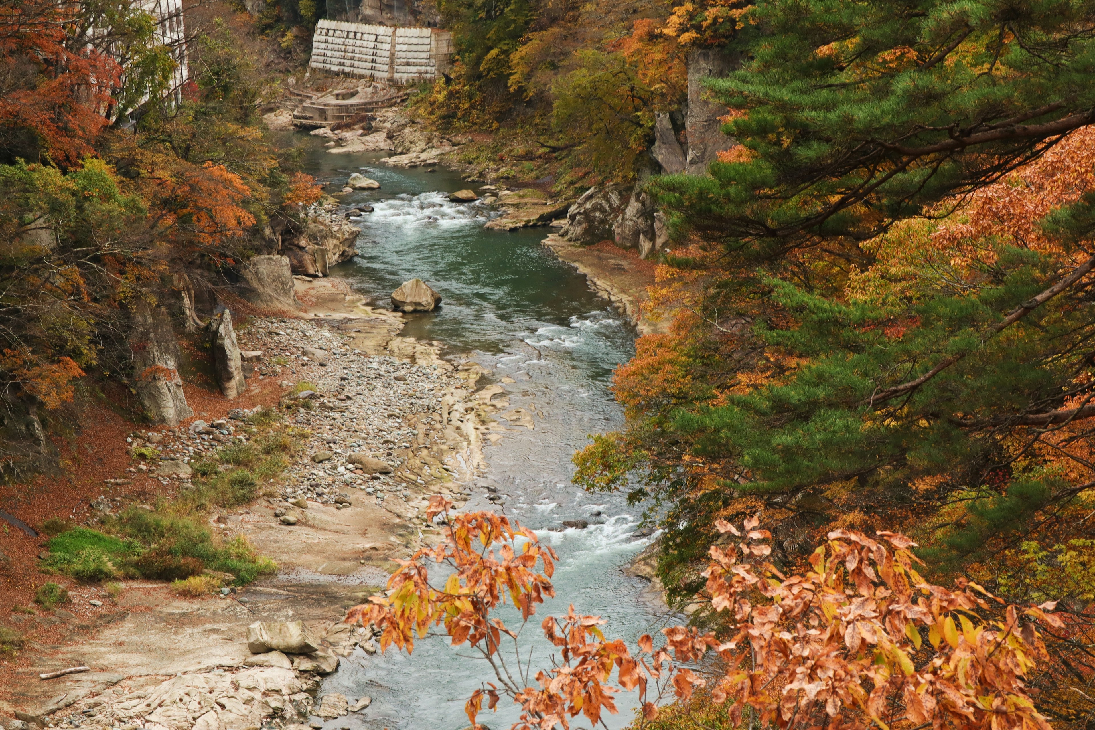 Malerscher Blick auf einen Fluss umgeben von Herbstlaub