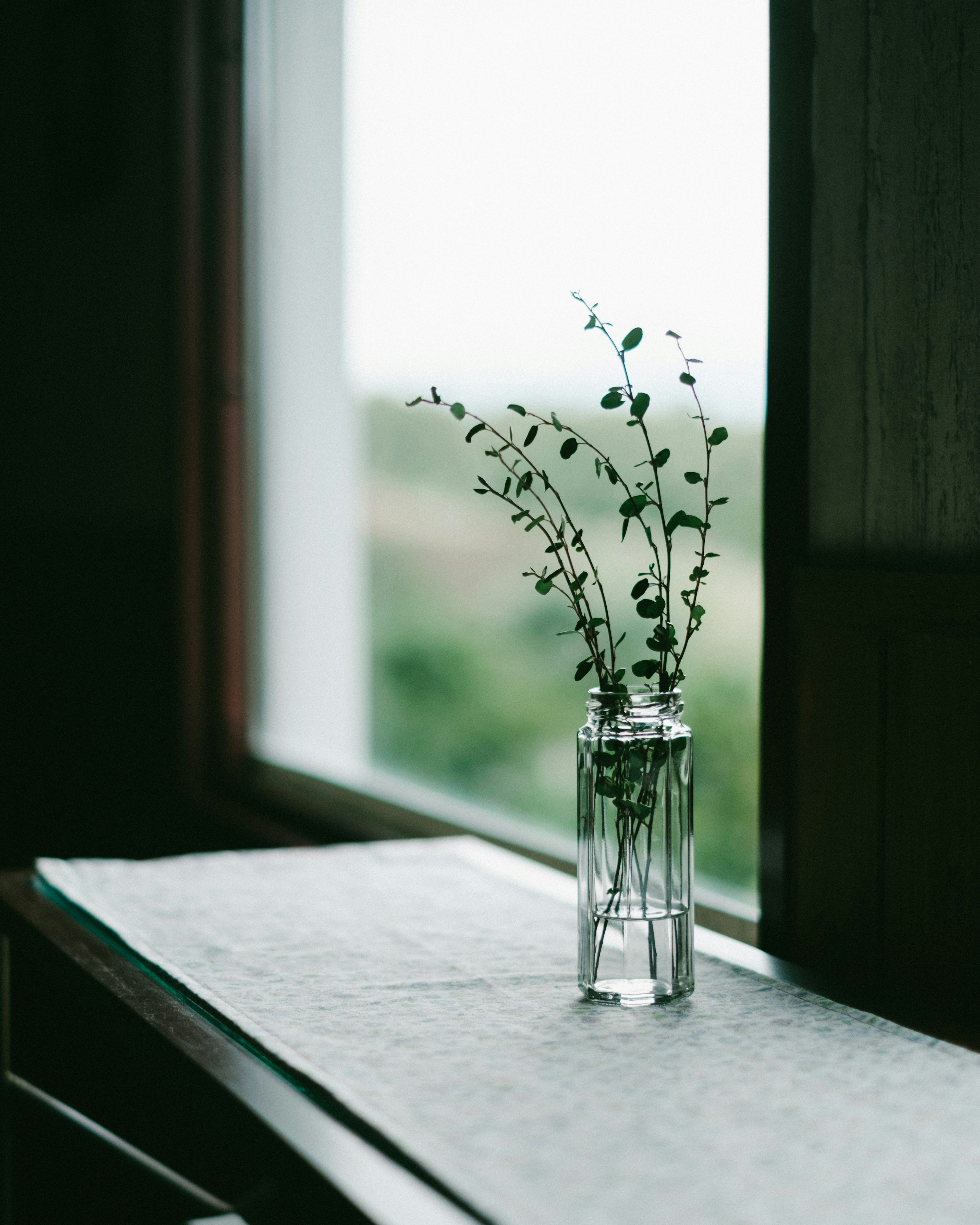 Un vase en verre avec de petites plantes posé sur un rebord de fenêtre