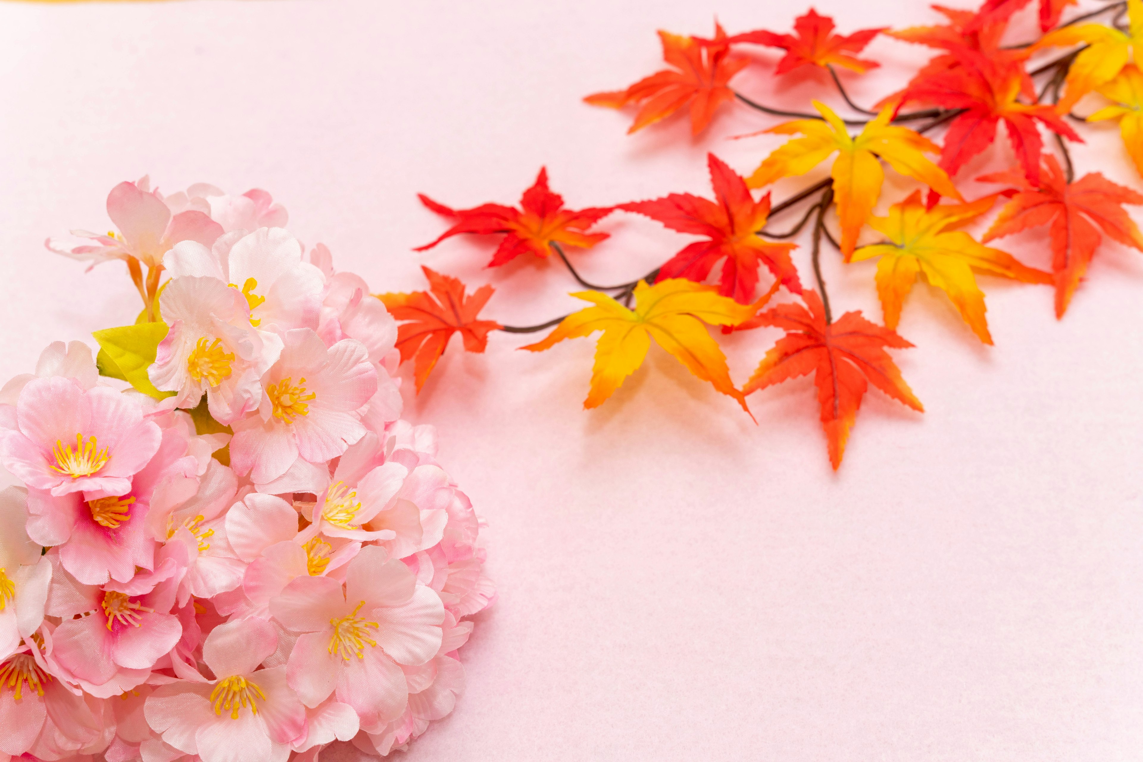 Hermoso arreglo de flores de cerezo y hojas de otoño