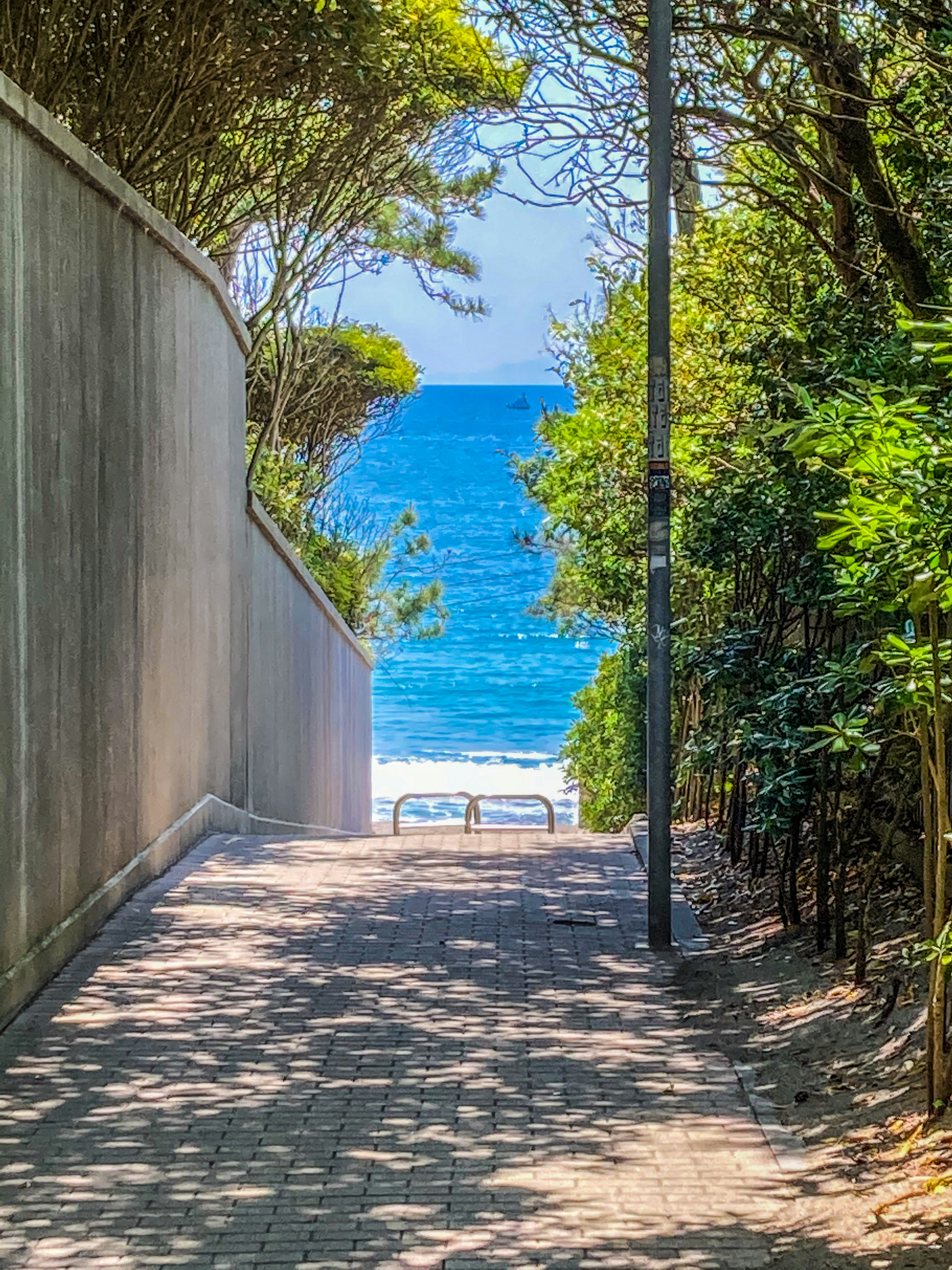 Sentiero che porta alla spiaggia con oceano blu sullo sfondo