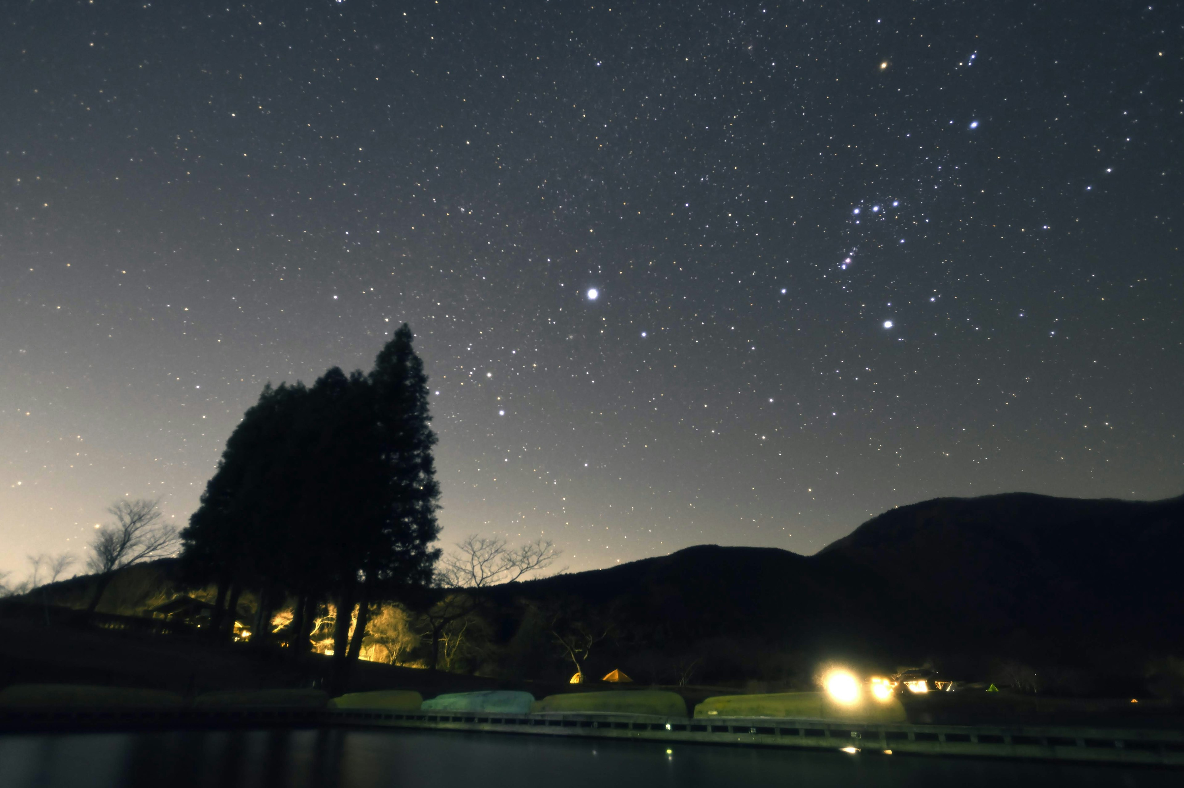 Cielo notturno pieno di stelle sopra alberi e montagne in silhouette