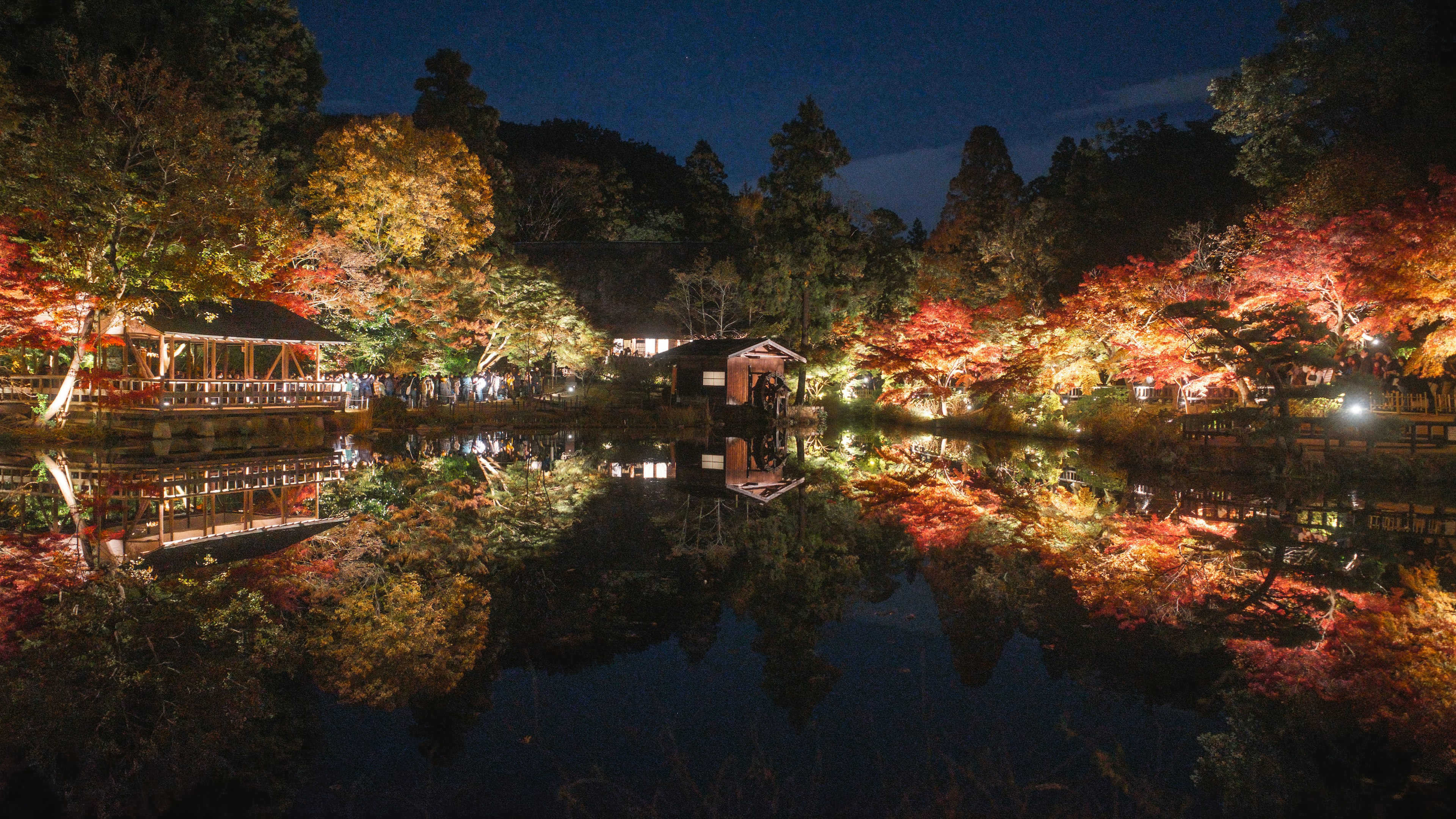 夜の池に映る秋の紅葉とライトアップされた木々