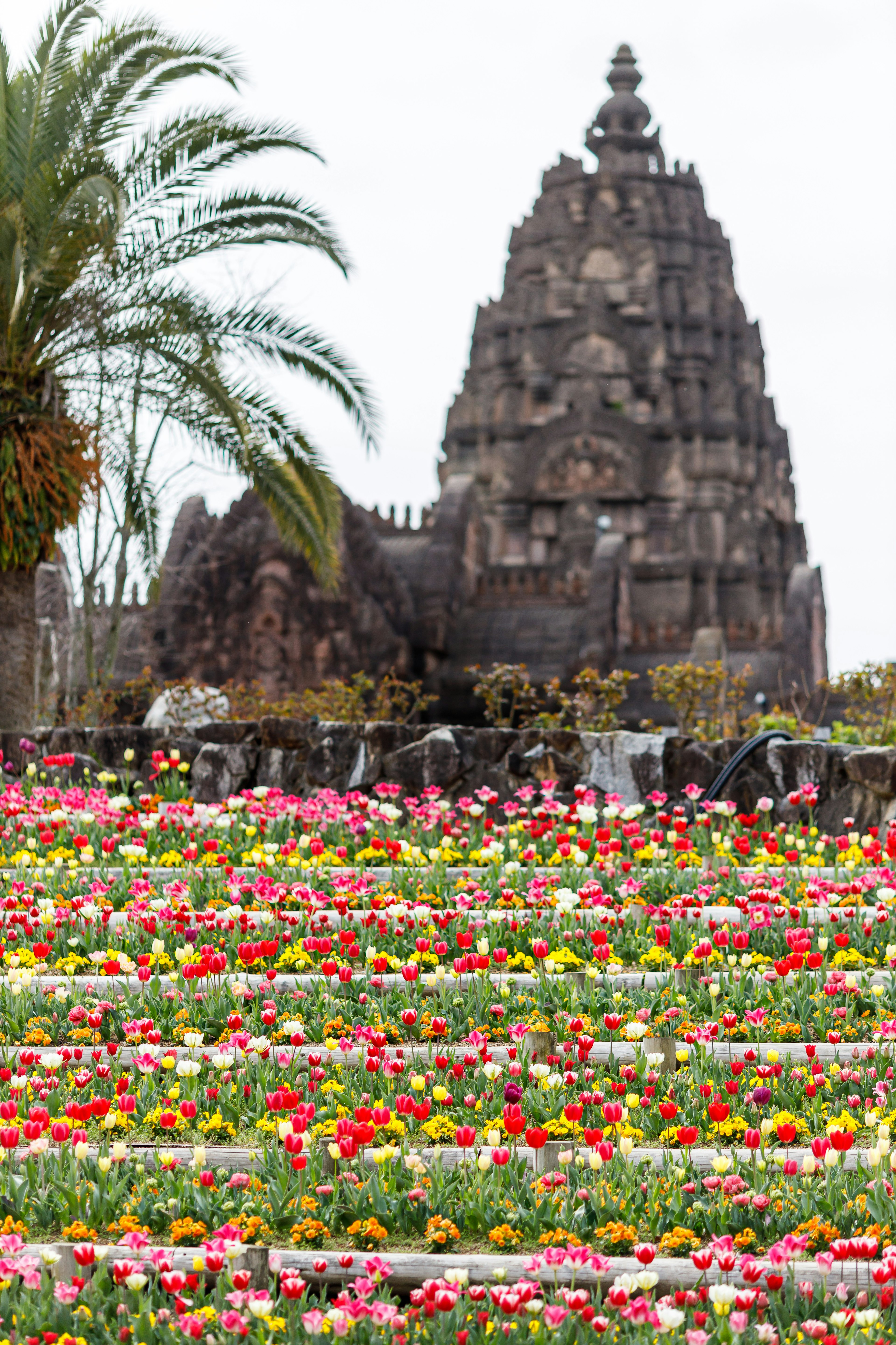 Bunte Blumen in einem Garten mit einem alten Tempel im Hintergrund