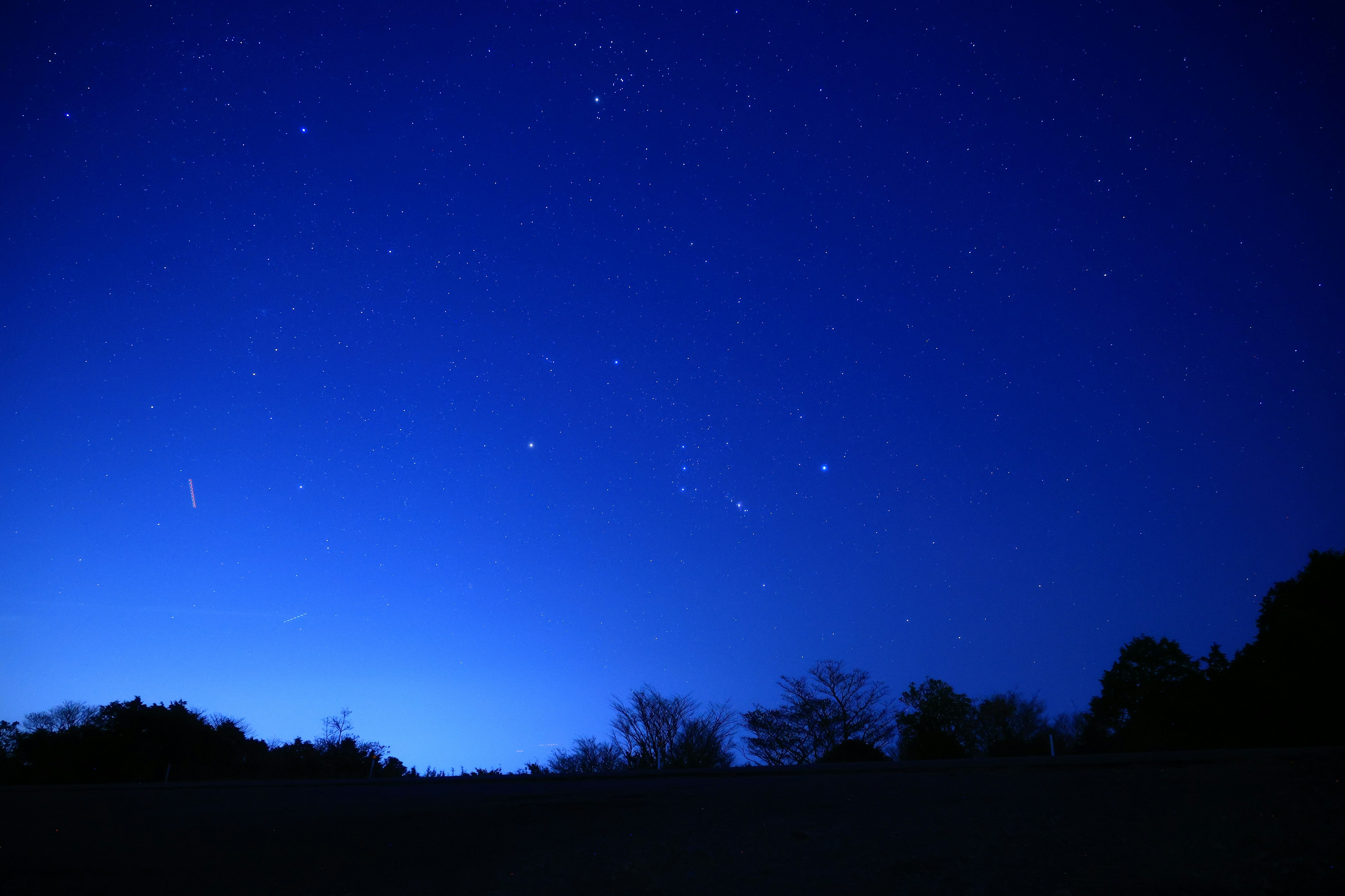 Cielo notturno blu profondo pieno di stelle e alberi in silhouette