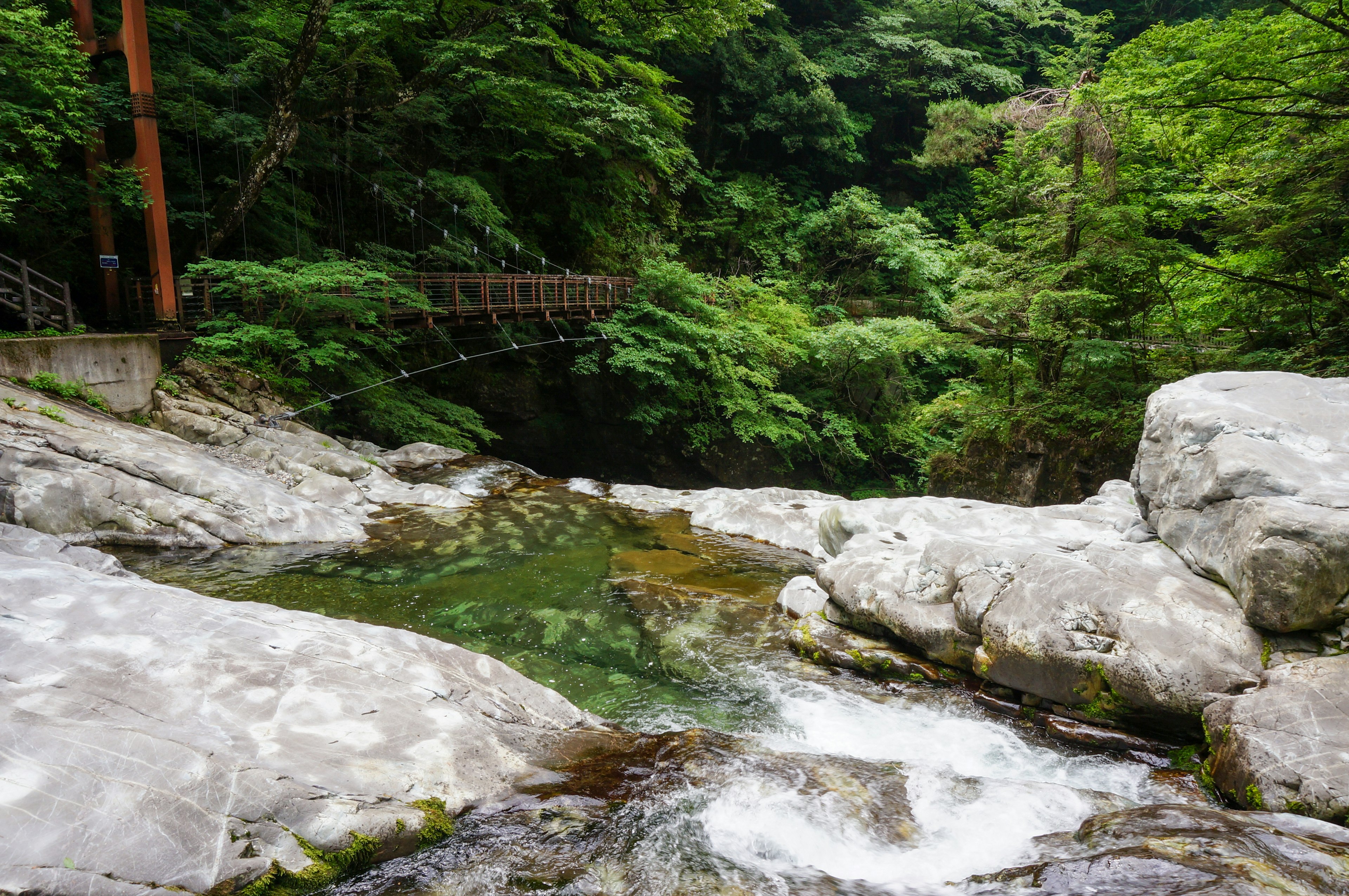 緑豊かな森の中の小川と石の滝 橋が見える