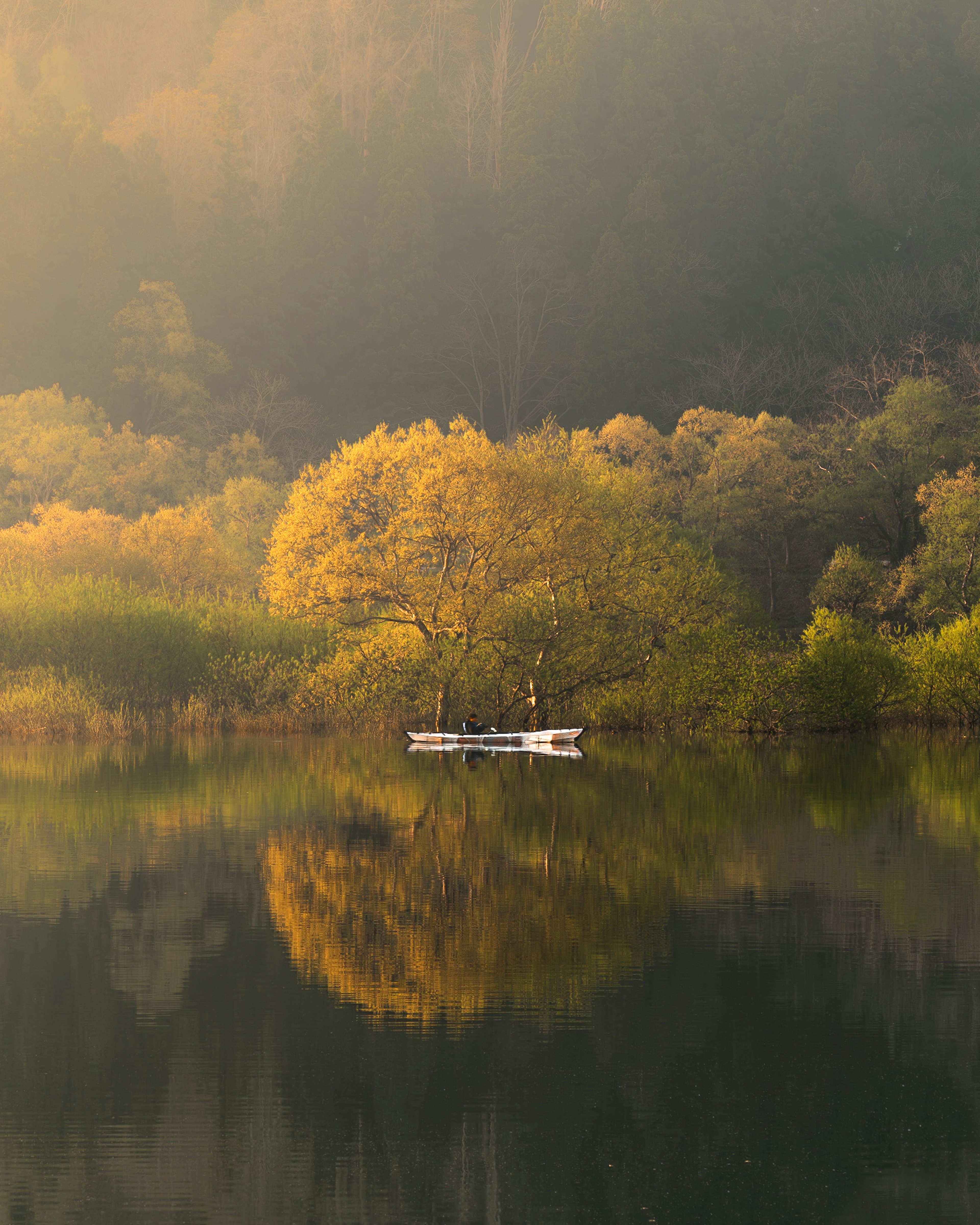 A white boat floating on a calm lake surrounded by autumn-colored trees