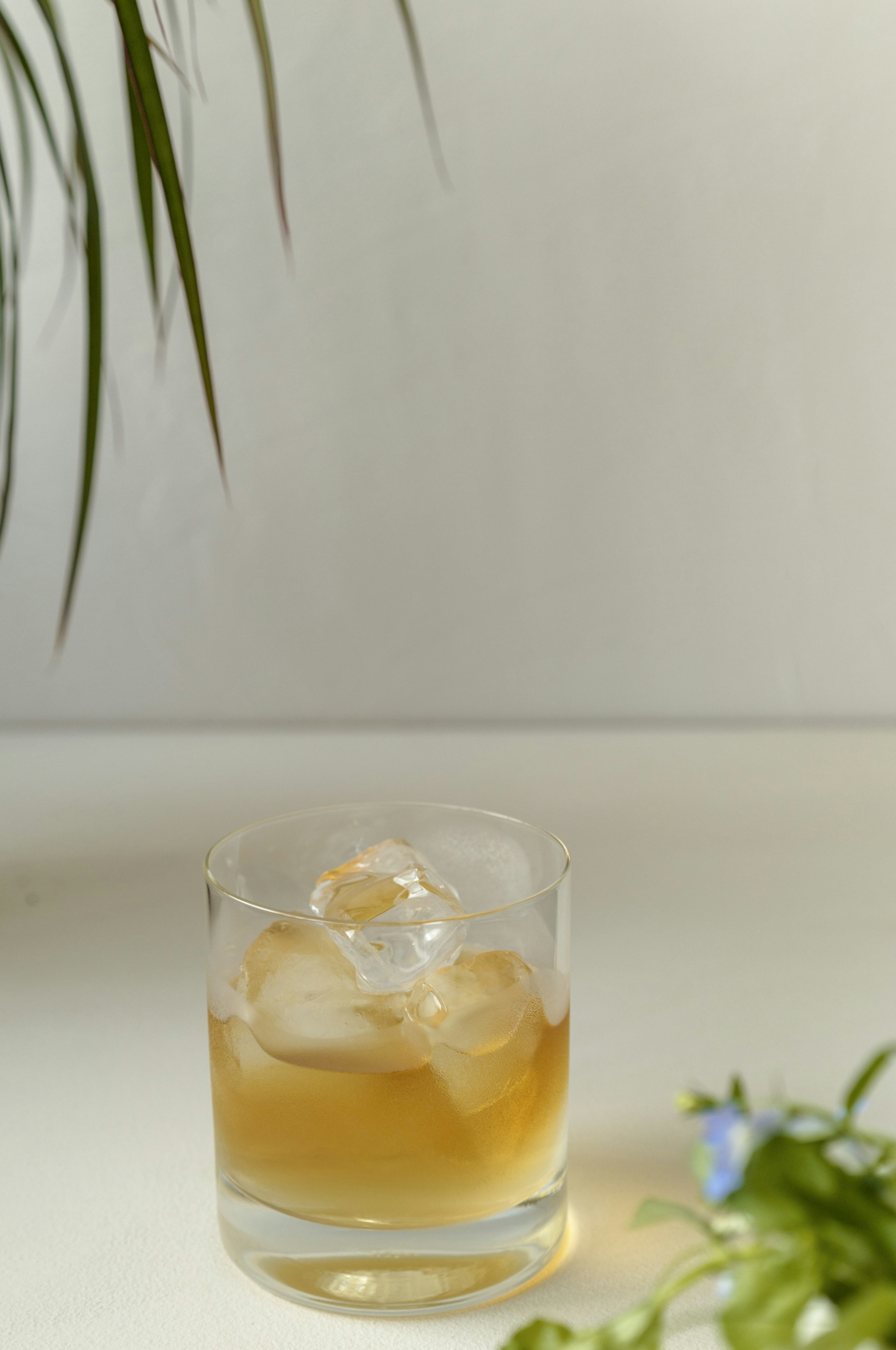 A whiskey glass with ice and green plants on a simple table