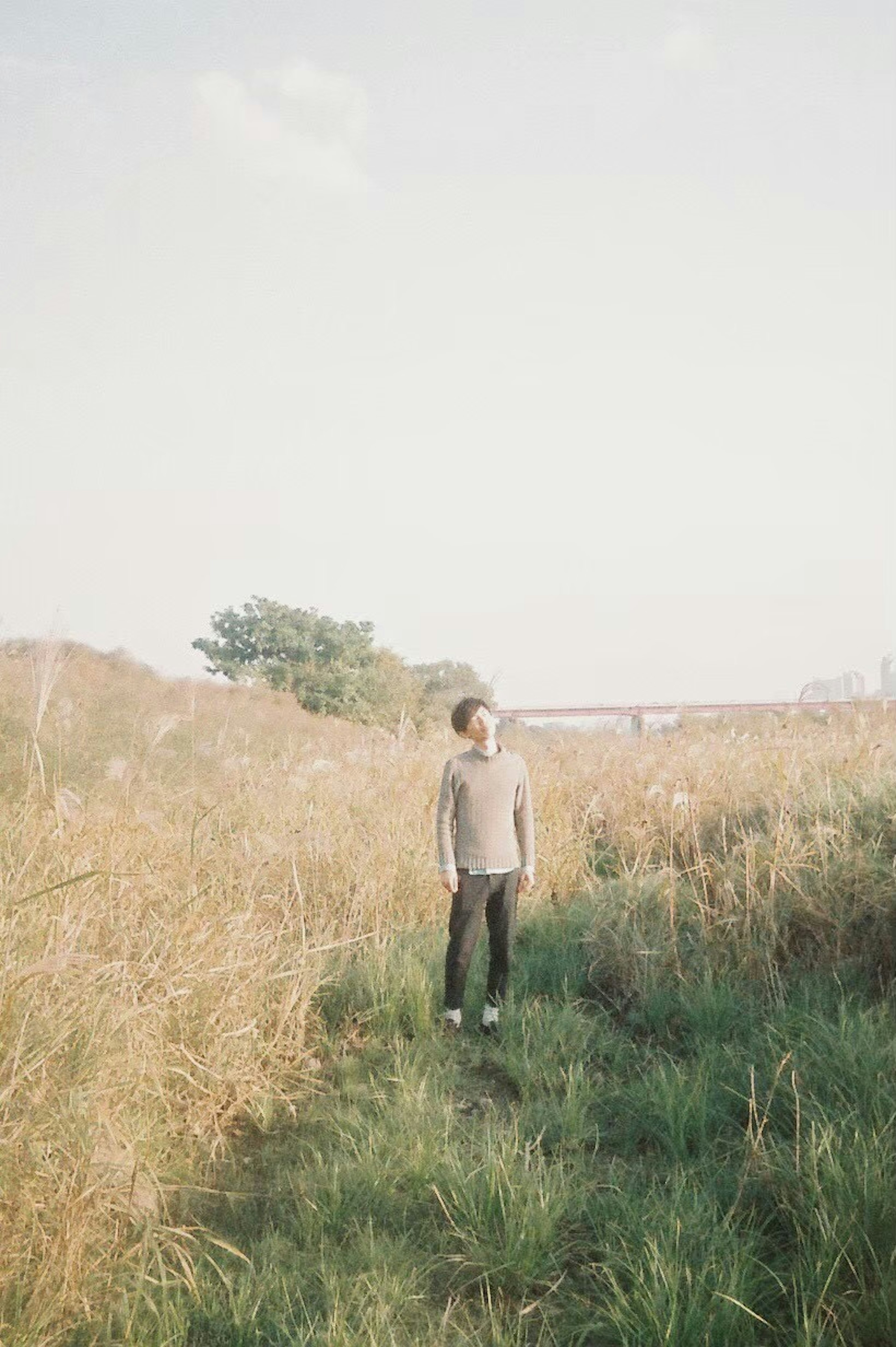 Silhouette of a person standing in a grassy field with a calm sky