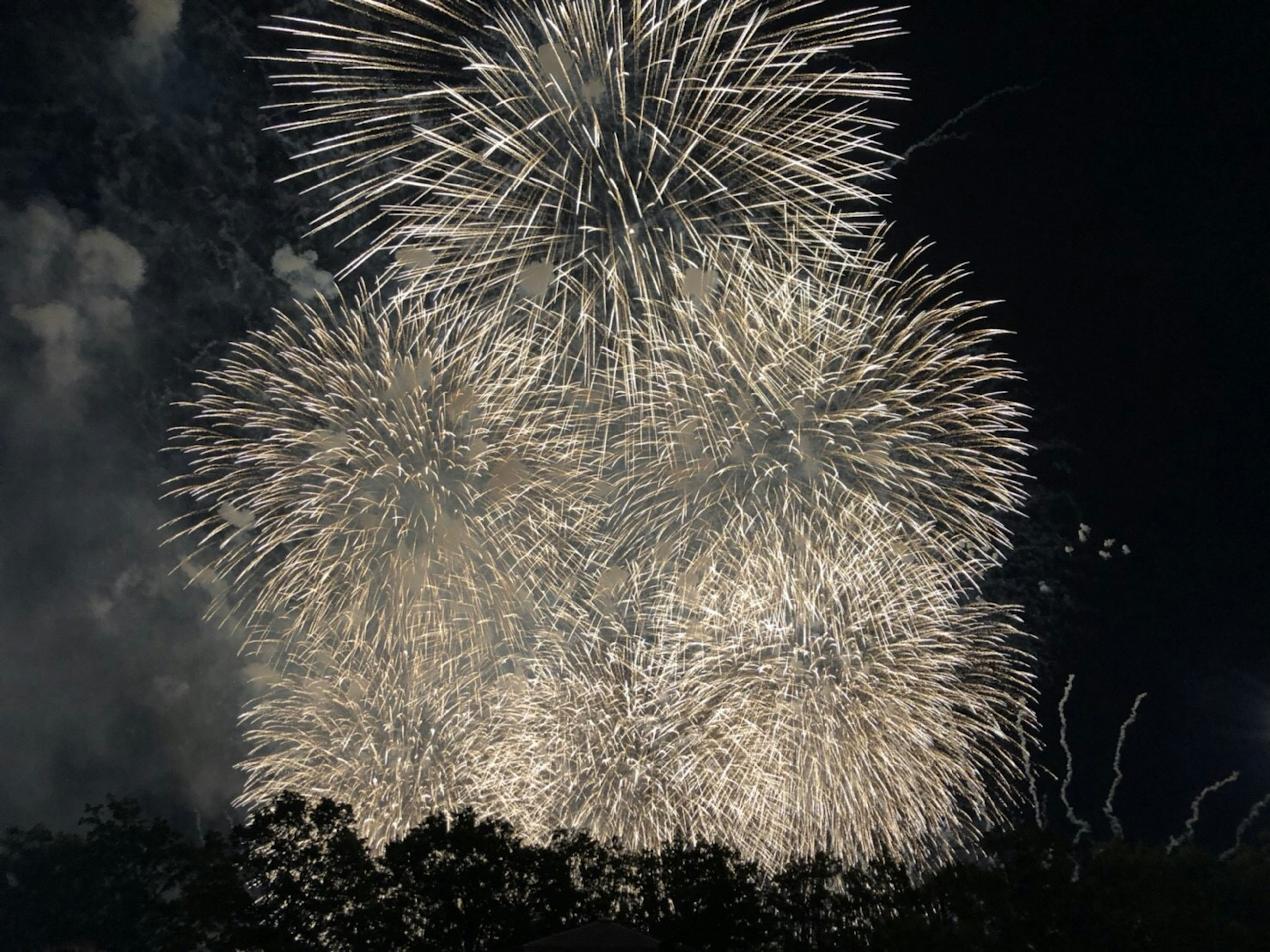 Fuochi d'artificio bianchi che esplodono nel cielo notturno con alberi in silhouette