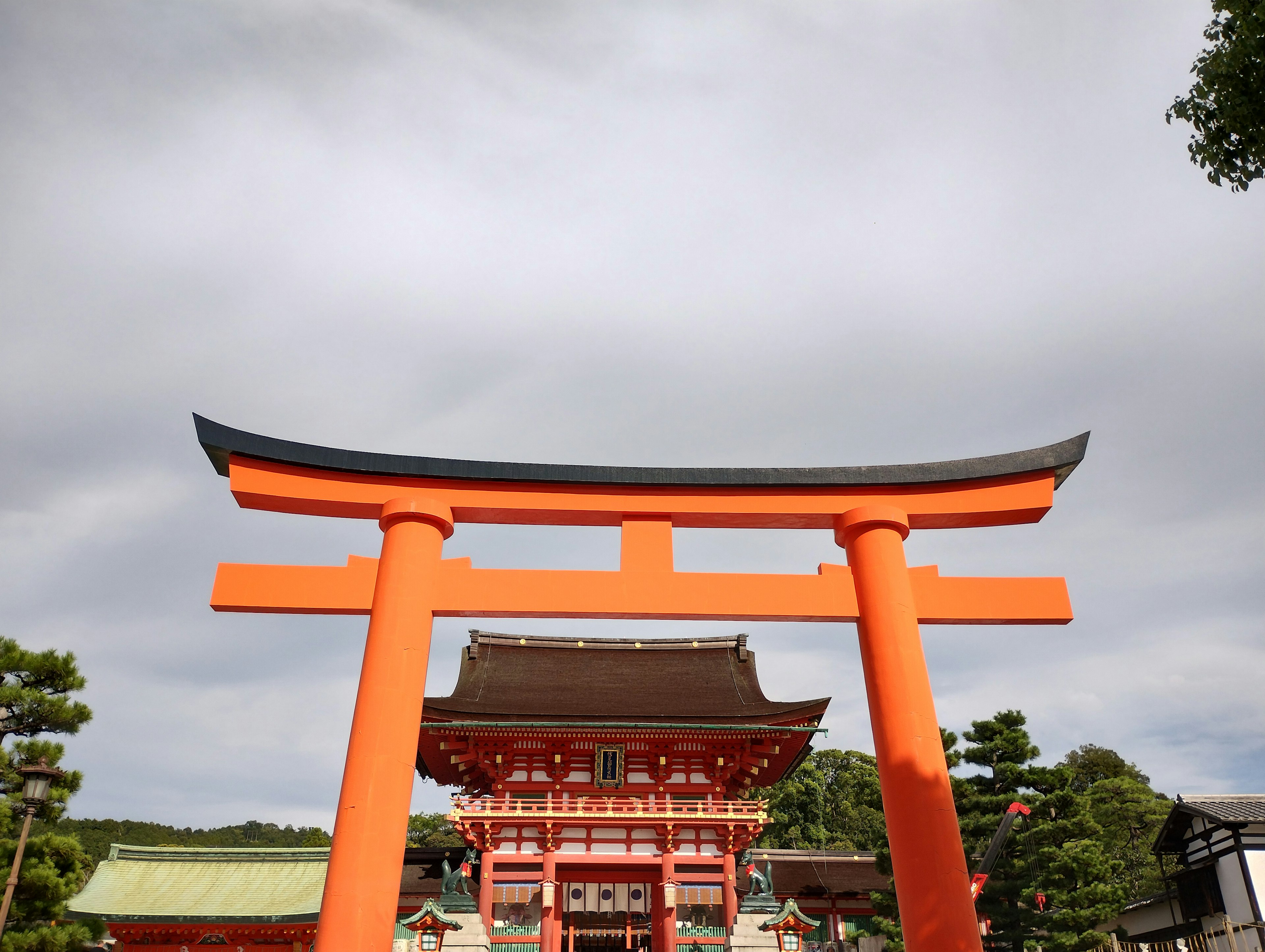 A scenic view of a shrine with a red torii gate