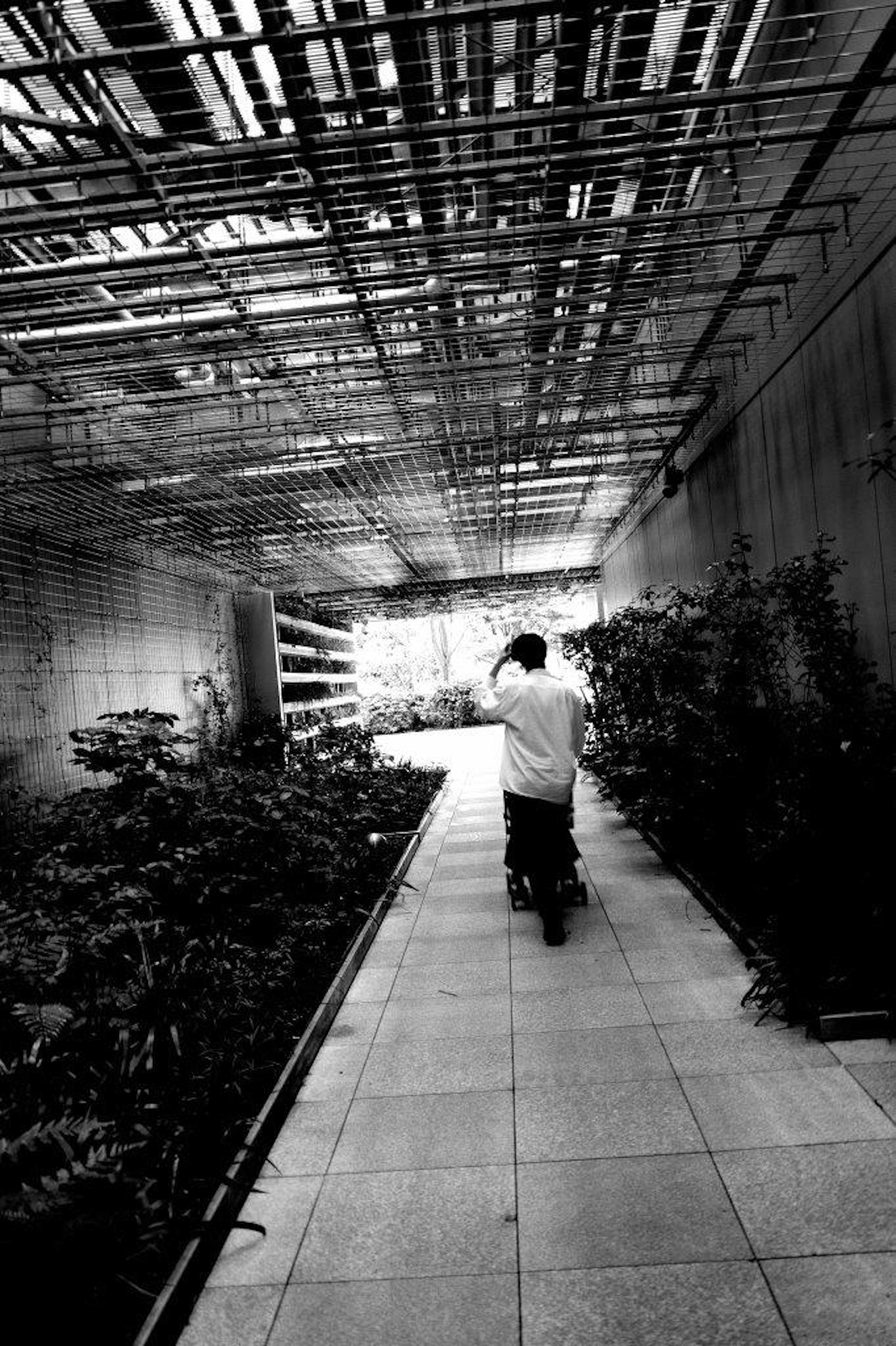 白黒の通路を歩く男性と緑の植物が並ぶ景色