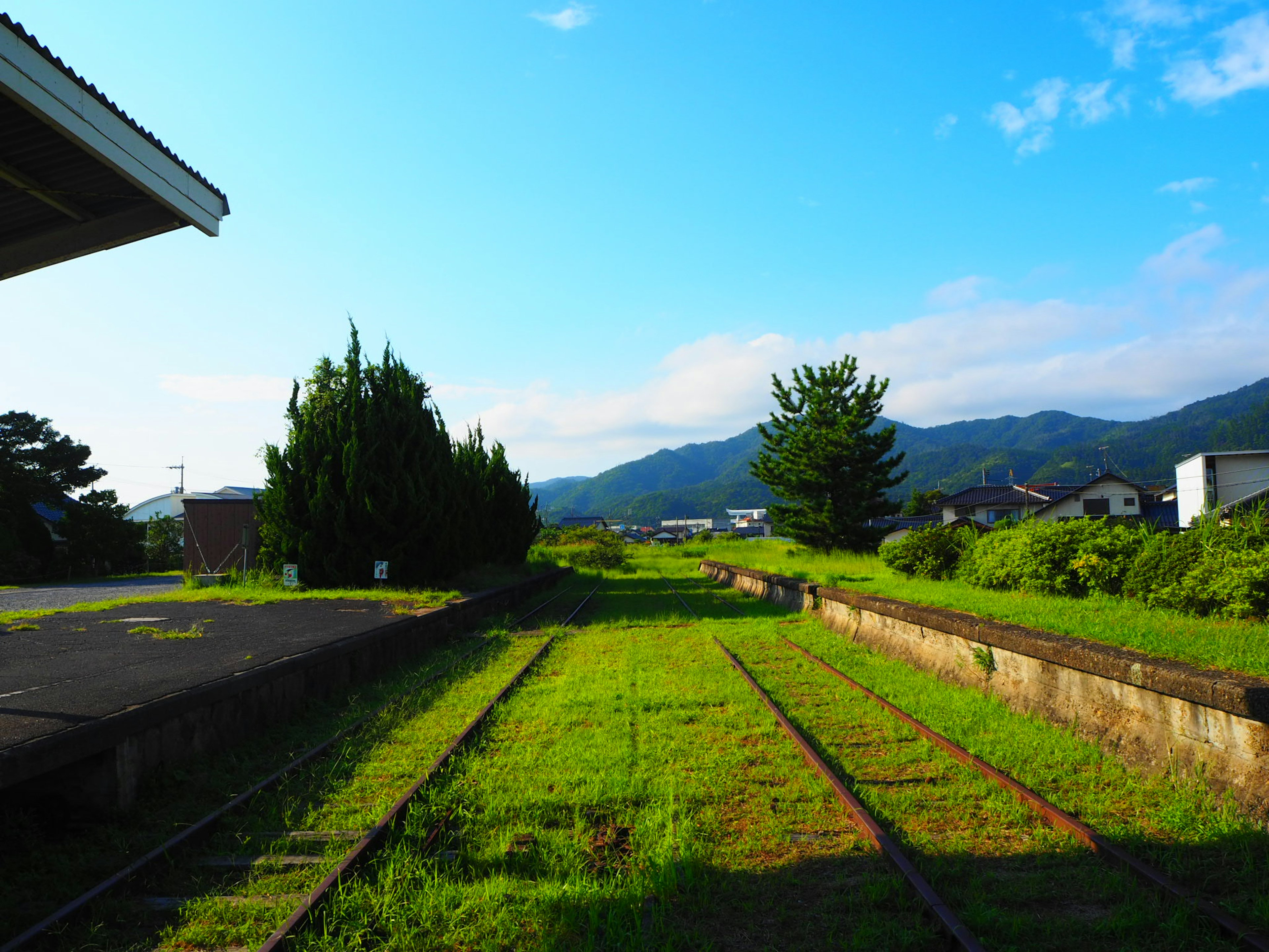 Un paesaggio con erba verde lussureggiante e binari di treni Montagne e cielo blu sullo sfondo