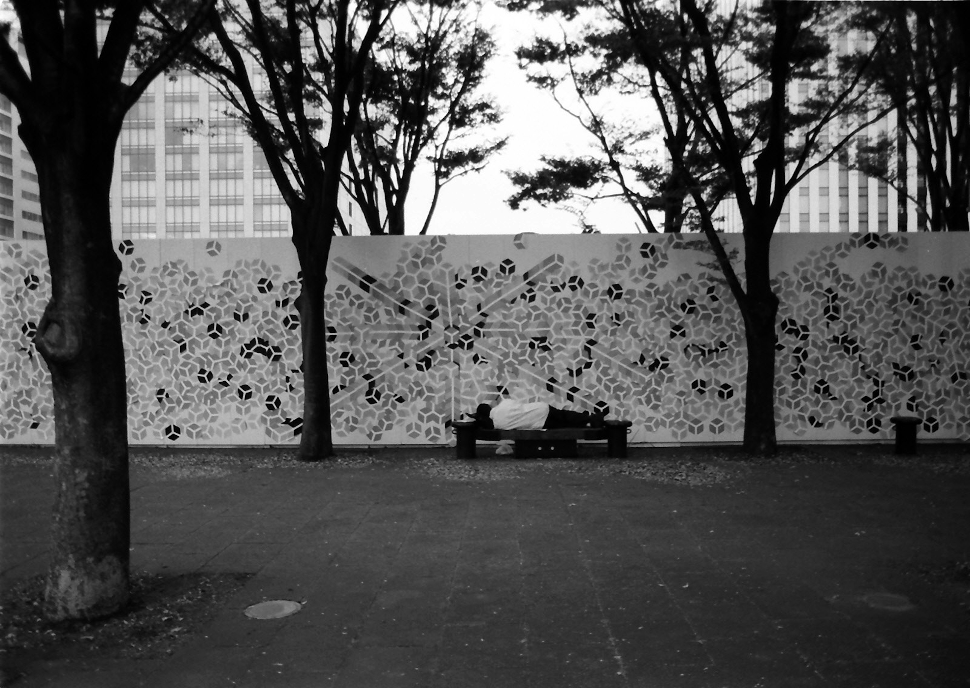 Black and white park scene featuring an art wall and a bench