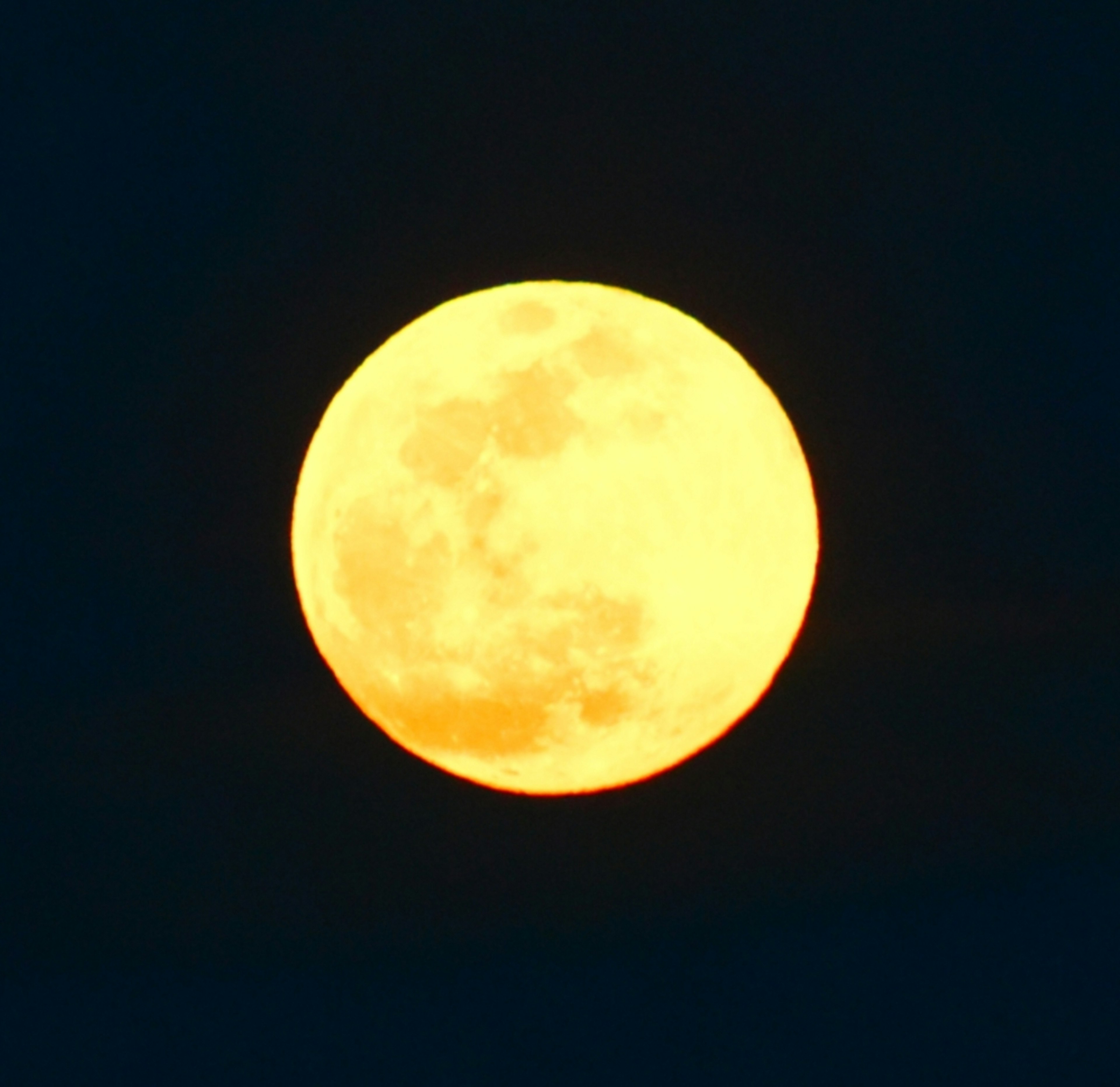 明亮的黄色满月漂浮在黑暗的夜空中