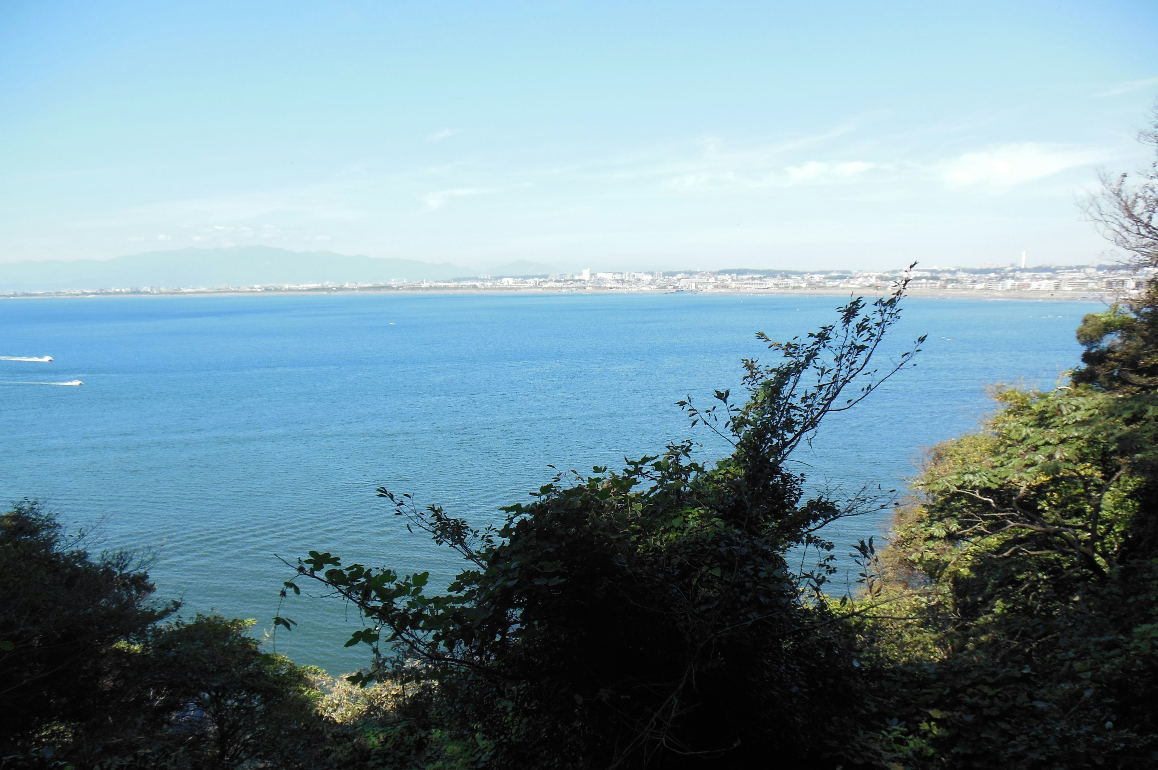 Vista escénica del mar azul y el cielo con vegetación