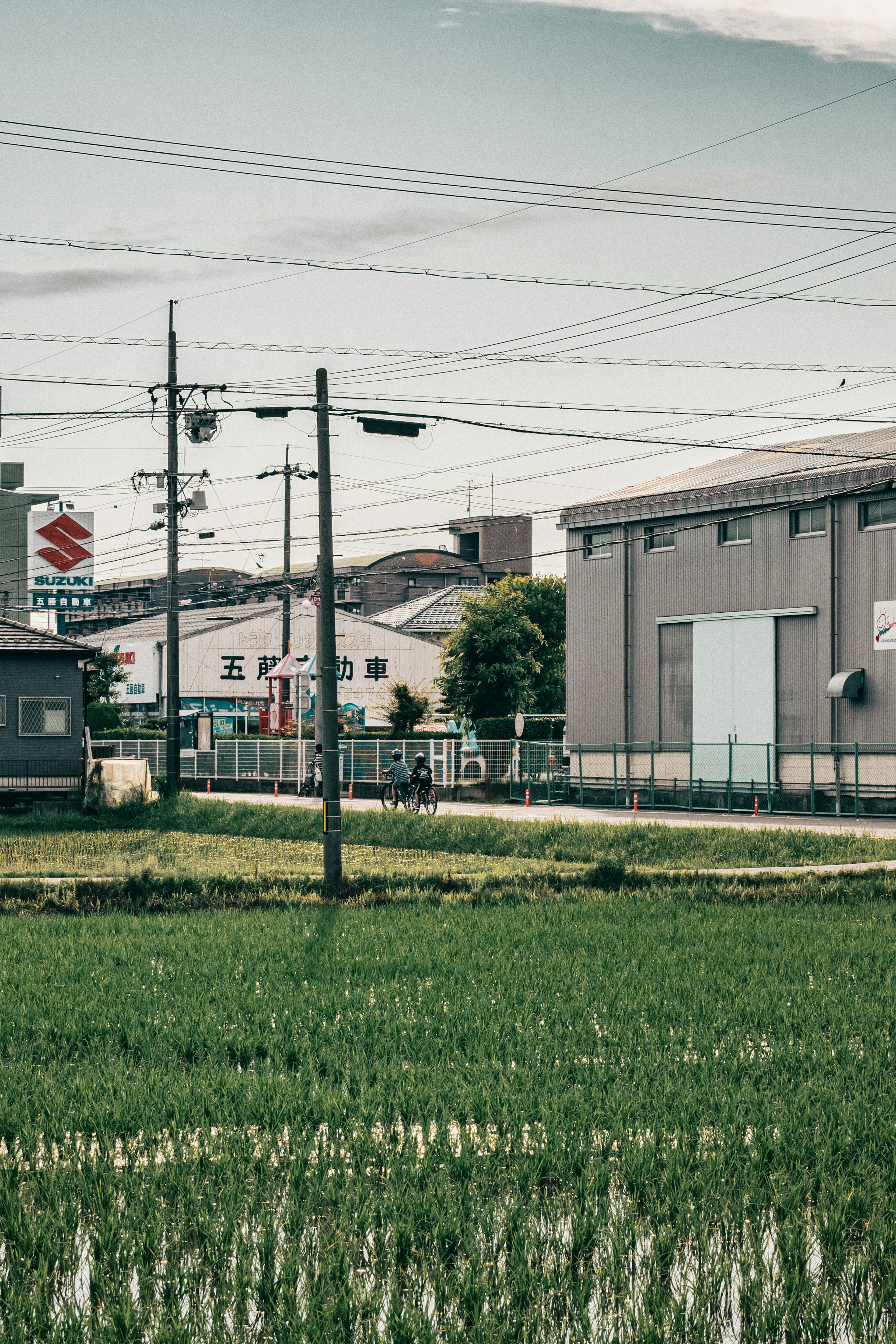 Paisaje rural con campos de arroz y edificios industriales en Japón