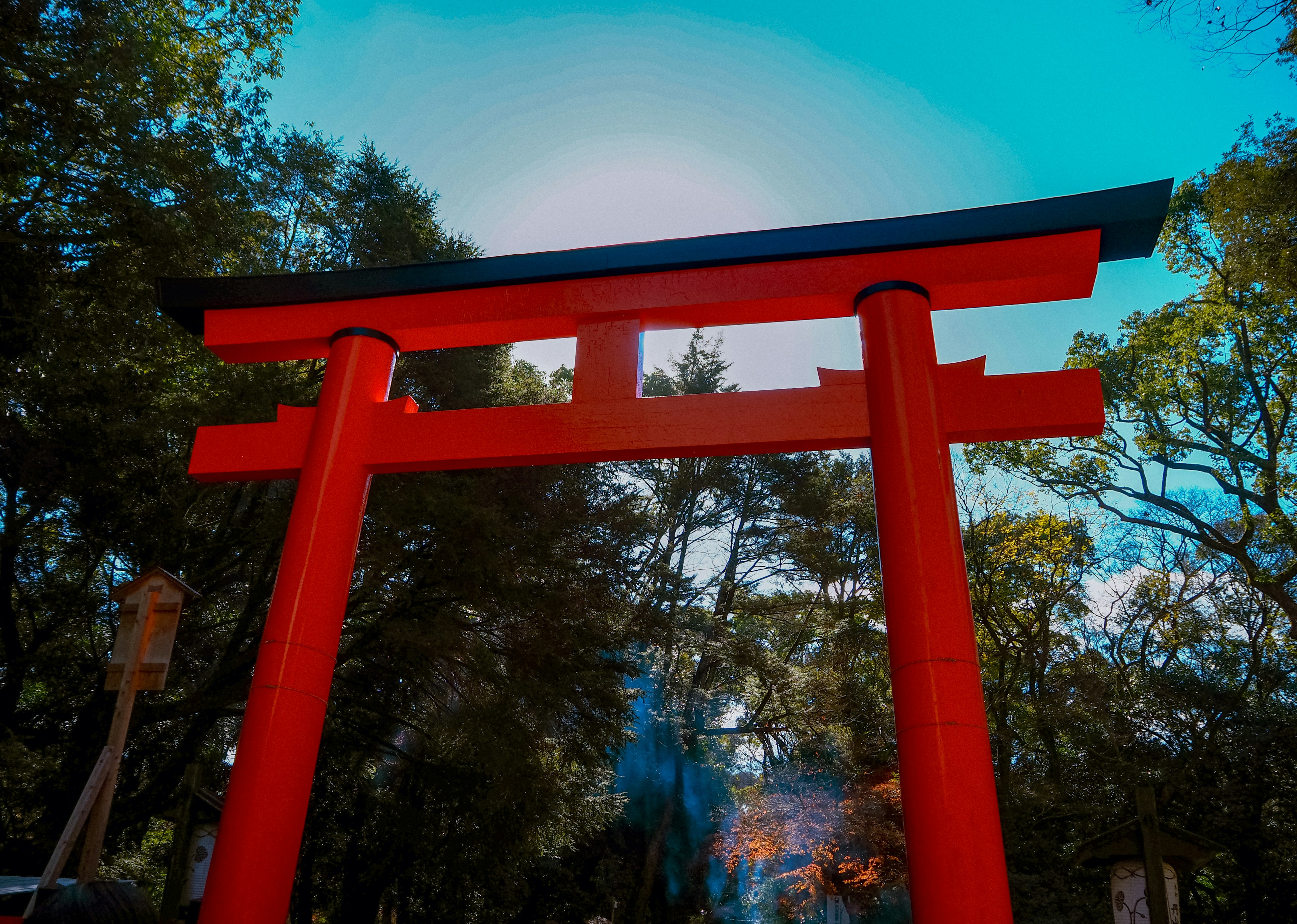 Puerta torii roja contra un cielo azul