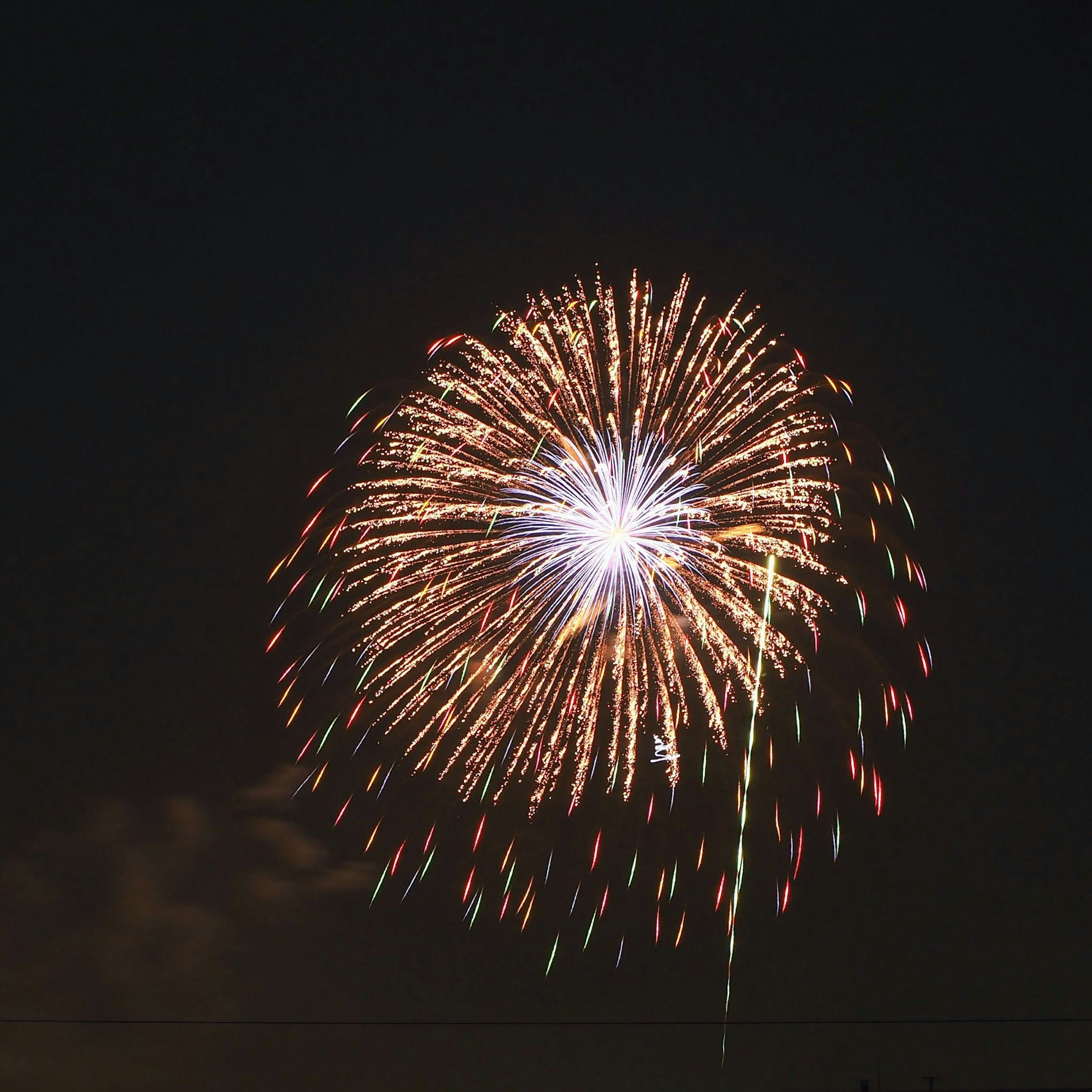 夜空中綻放的美麗煙花