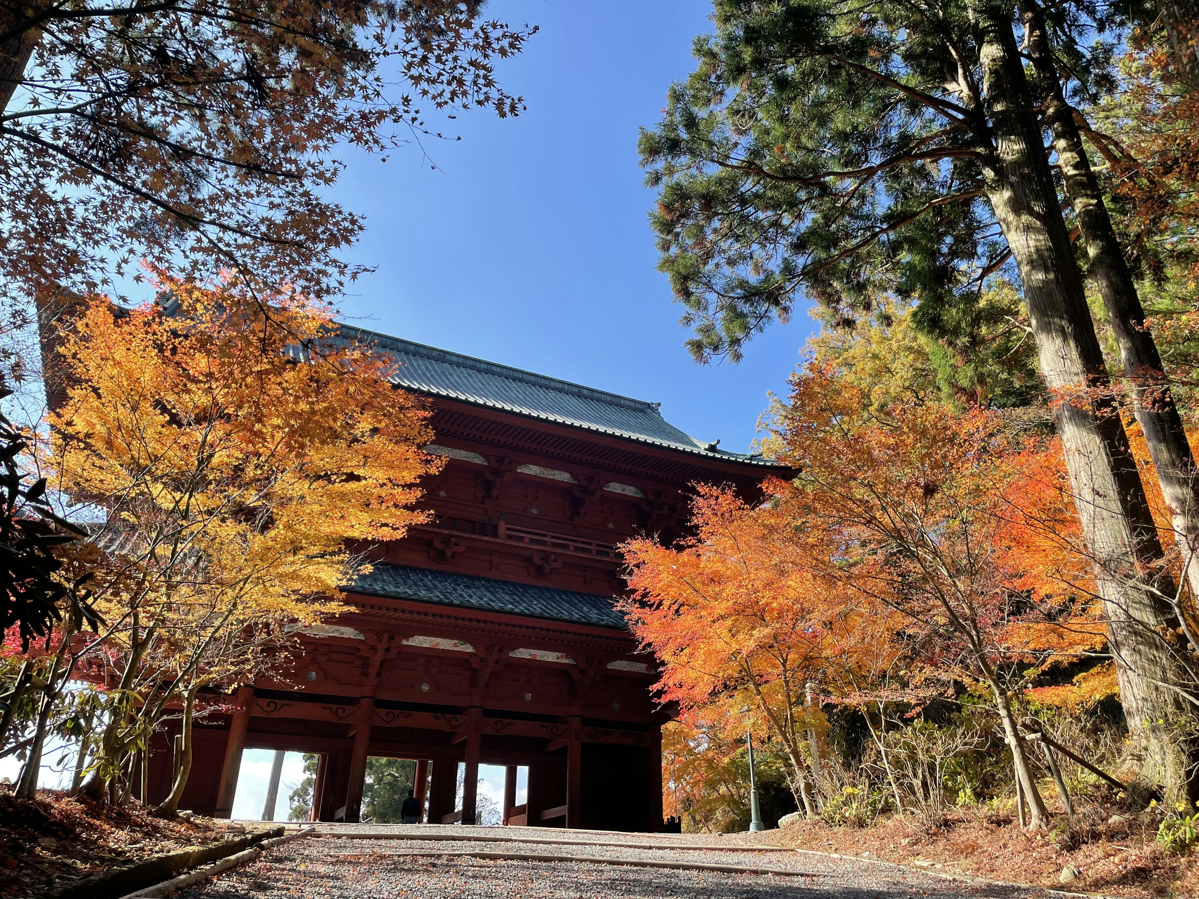 紅葉した木々に囲まれた伝統的な建物の下からの風景