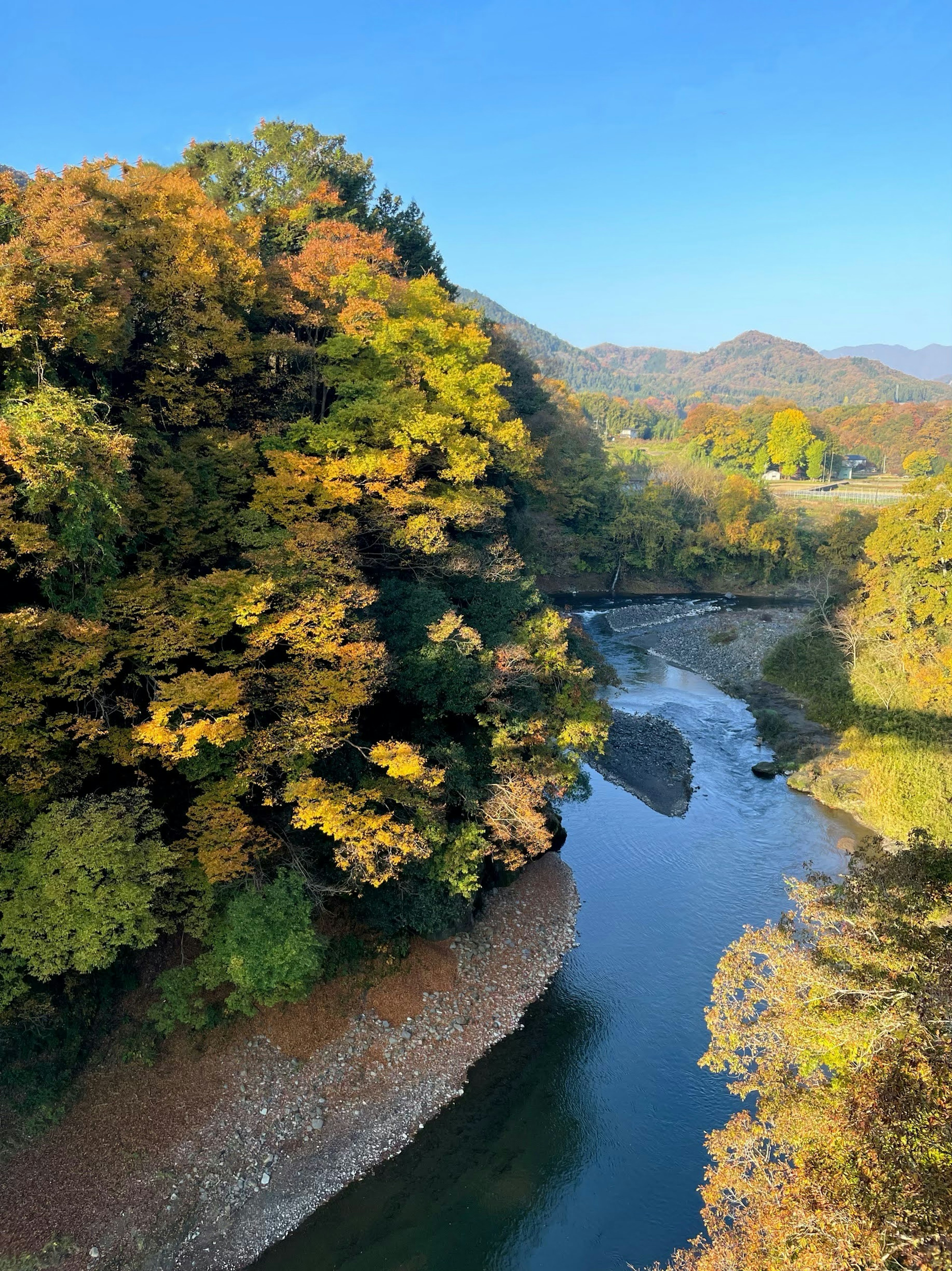 秋の色づいた木々に囲まれた静かな川の風景