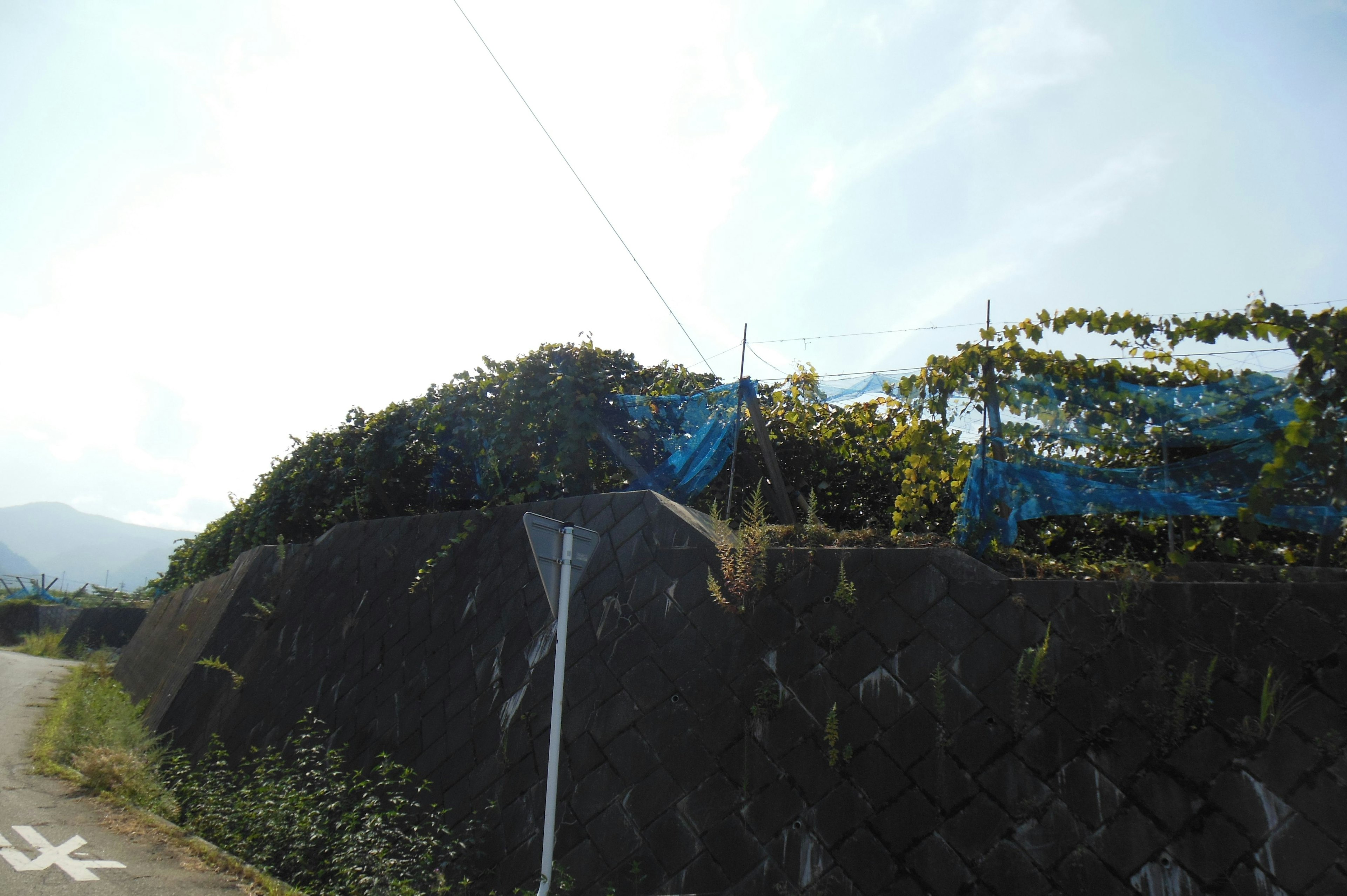 Landscape of a hill covered with blue netting with mountains in the background