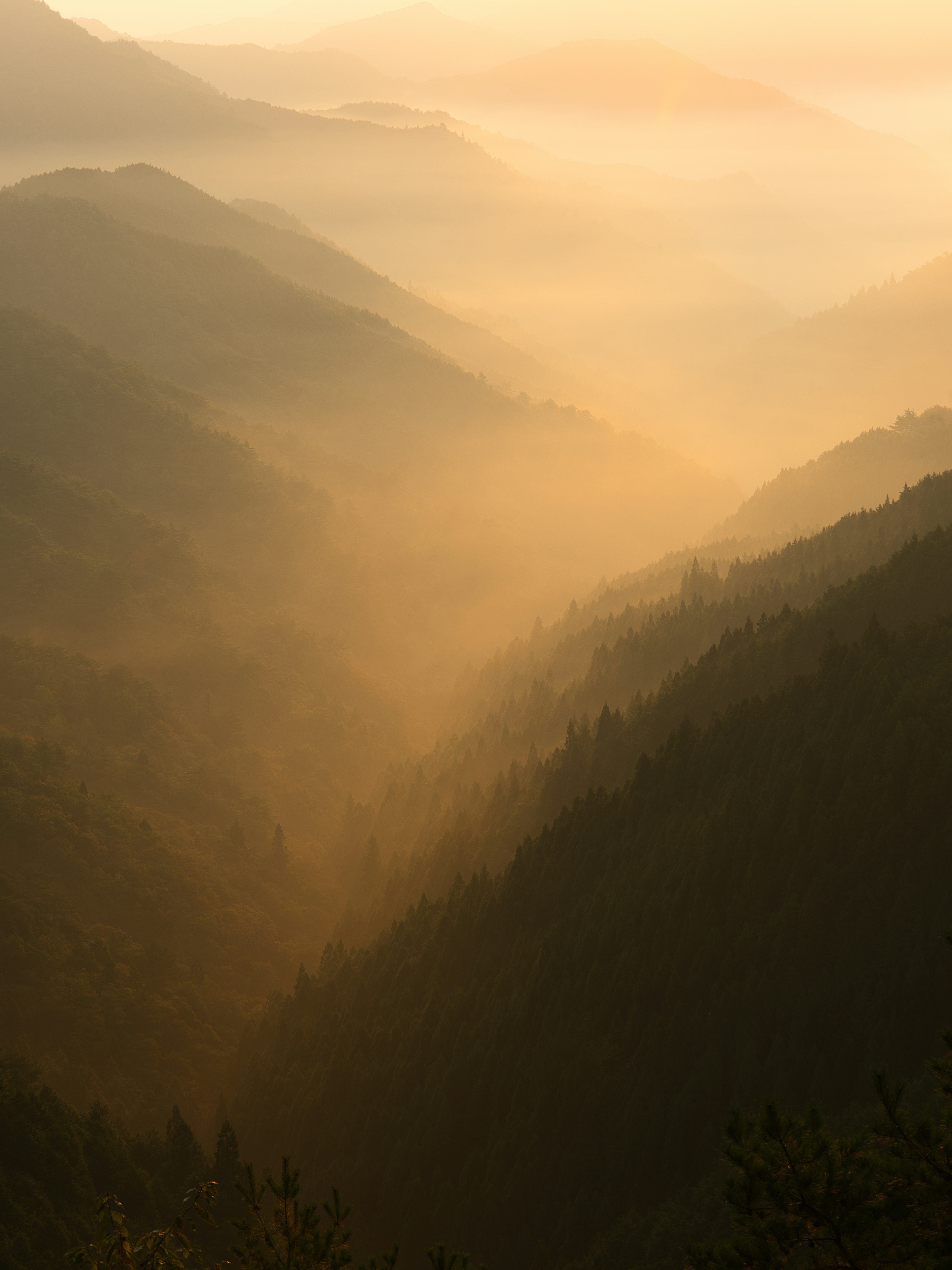 Pemandangan pegunungan dengan kabut dan lembah saat matahari terbenam