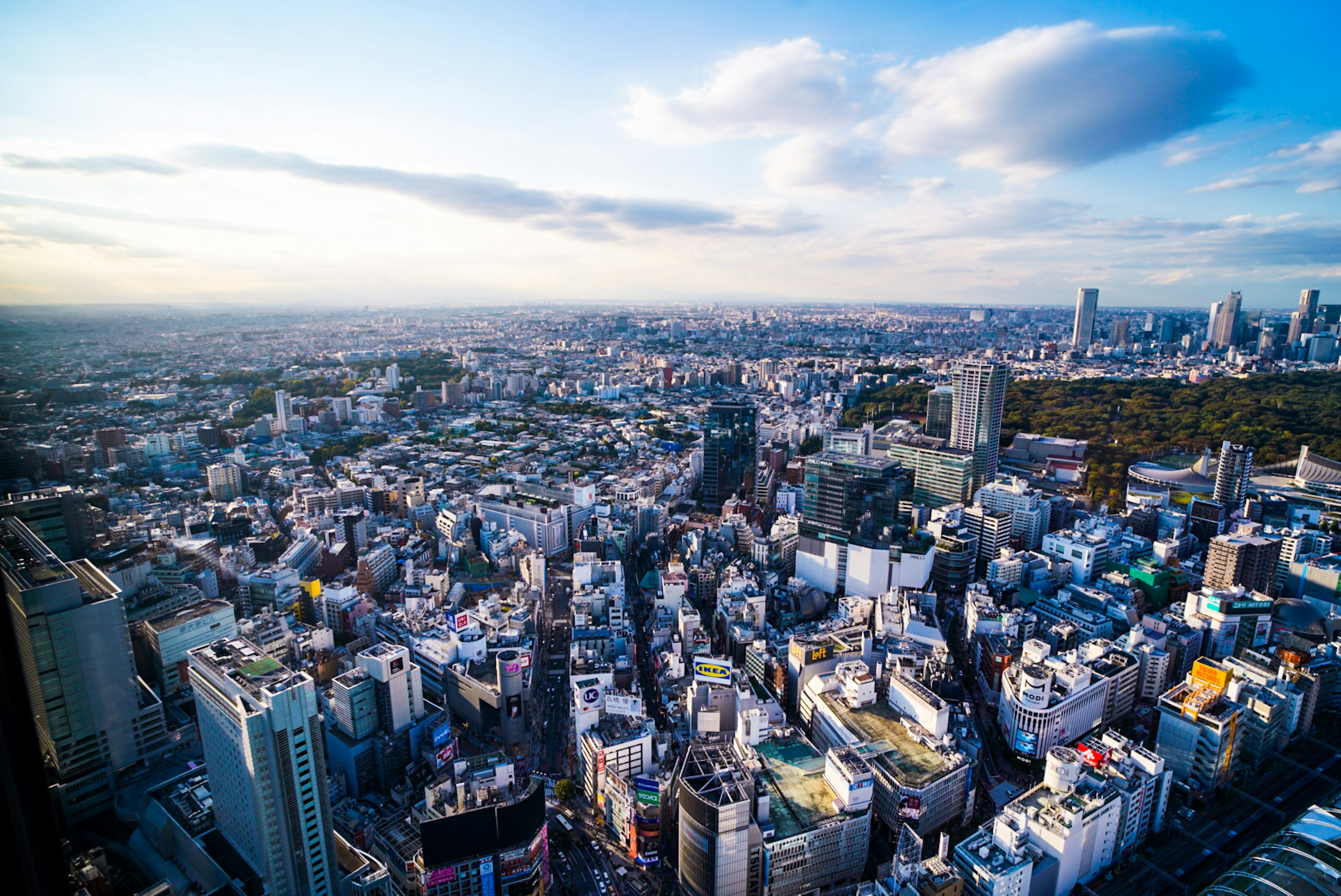 Vista panoramica del paesaggio urbano di Tokyo con un mix di grattacieli e aree residenziali