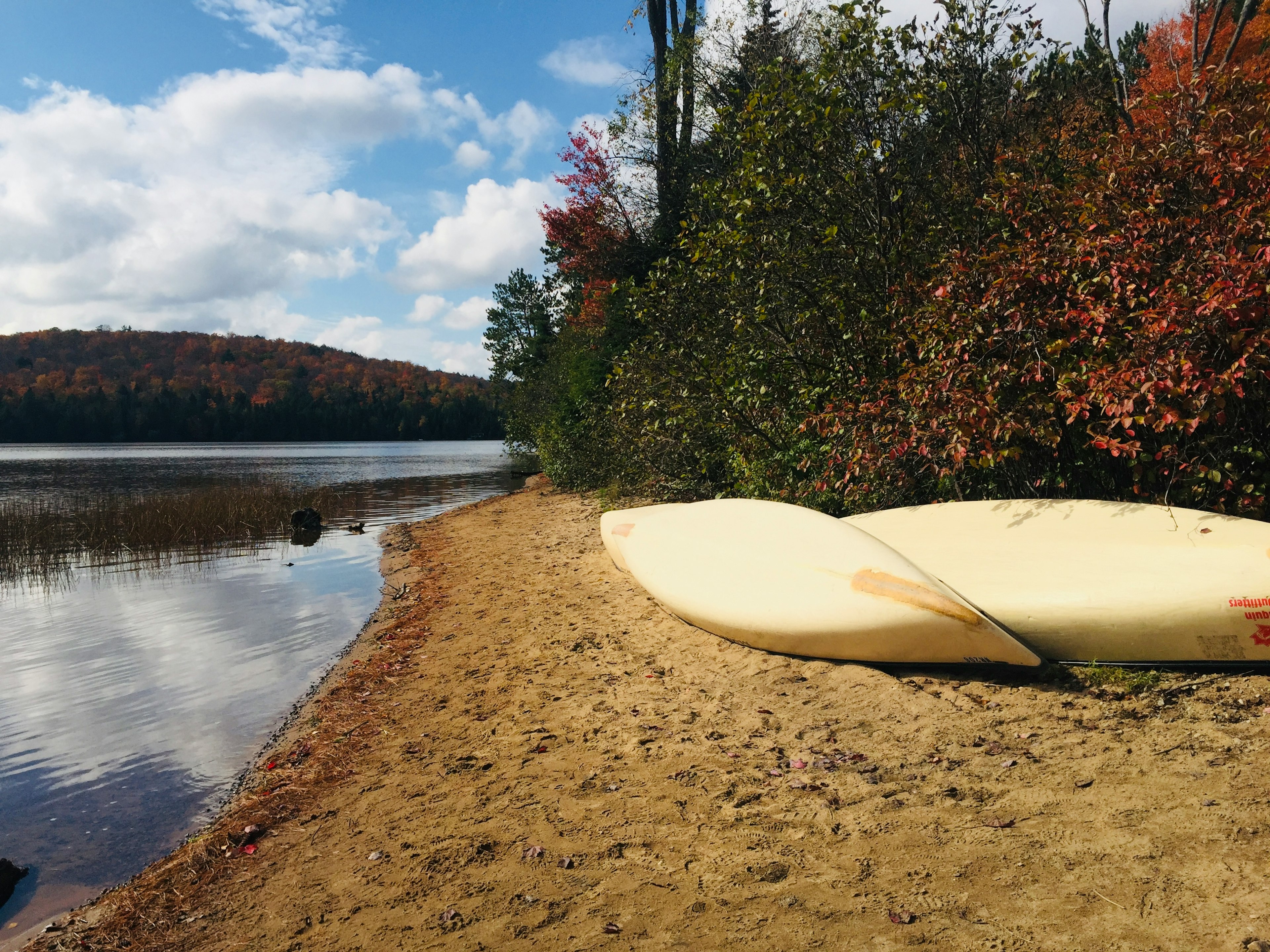 Dos kayaks en una playa de arena junto a un lago con árboles de otoño coloridos