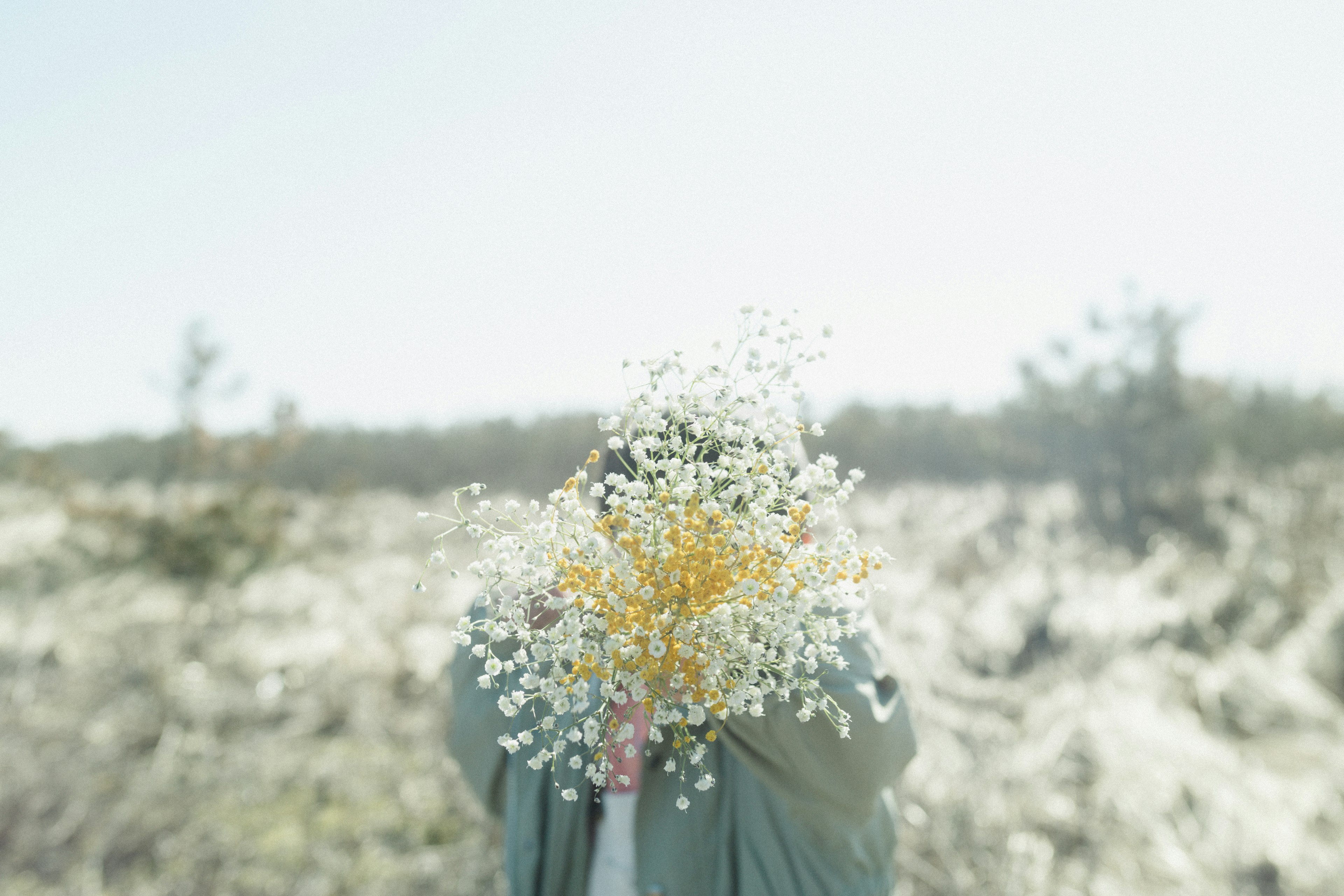 Person, die einen Strauß aus weißen und gelben Blumen auf einem Feld hält