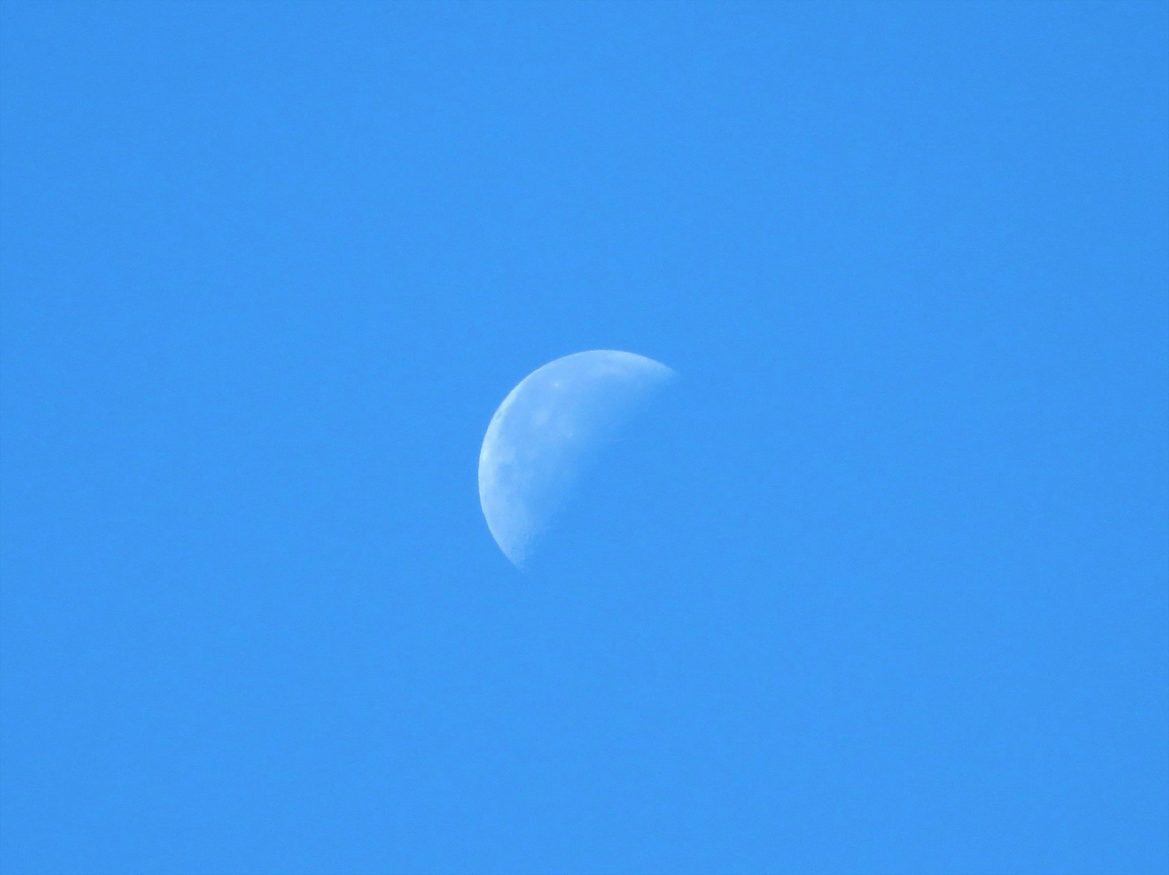 Half moon in a clear blue sky