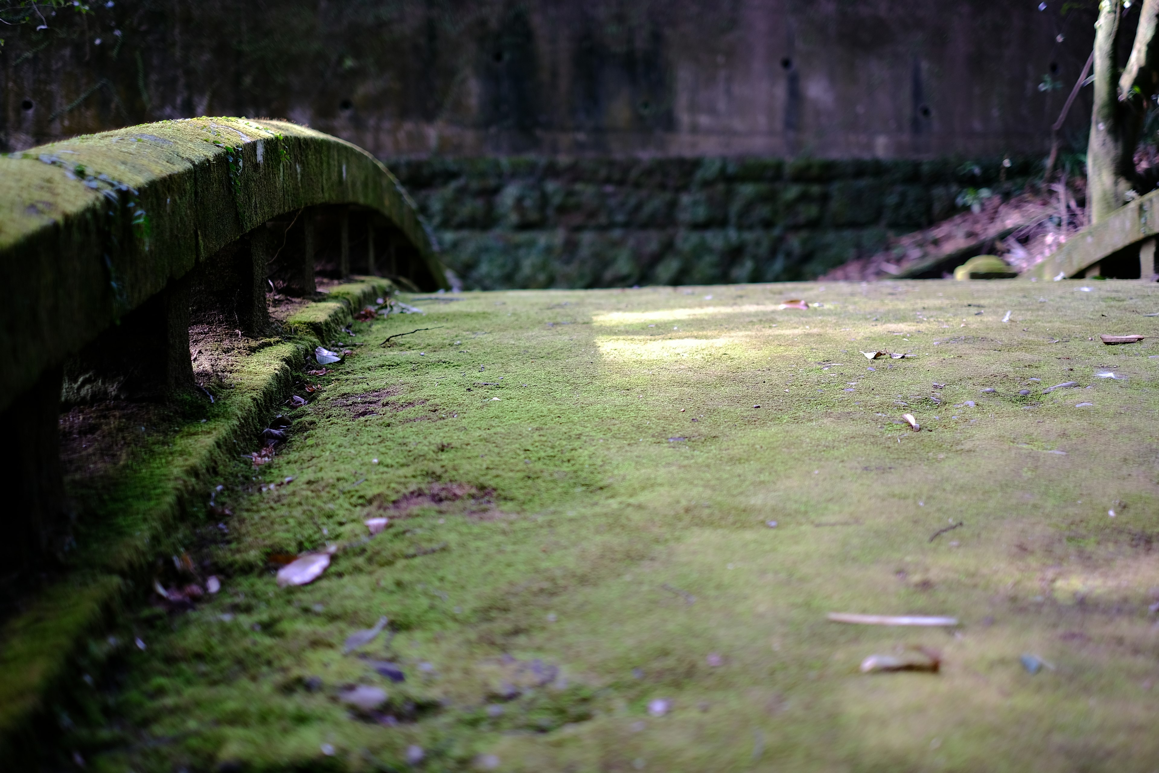 Alter Brücke, bedeckt mit grünem Moos, umgeben von natürlicher Landschaft