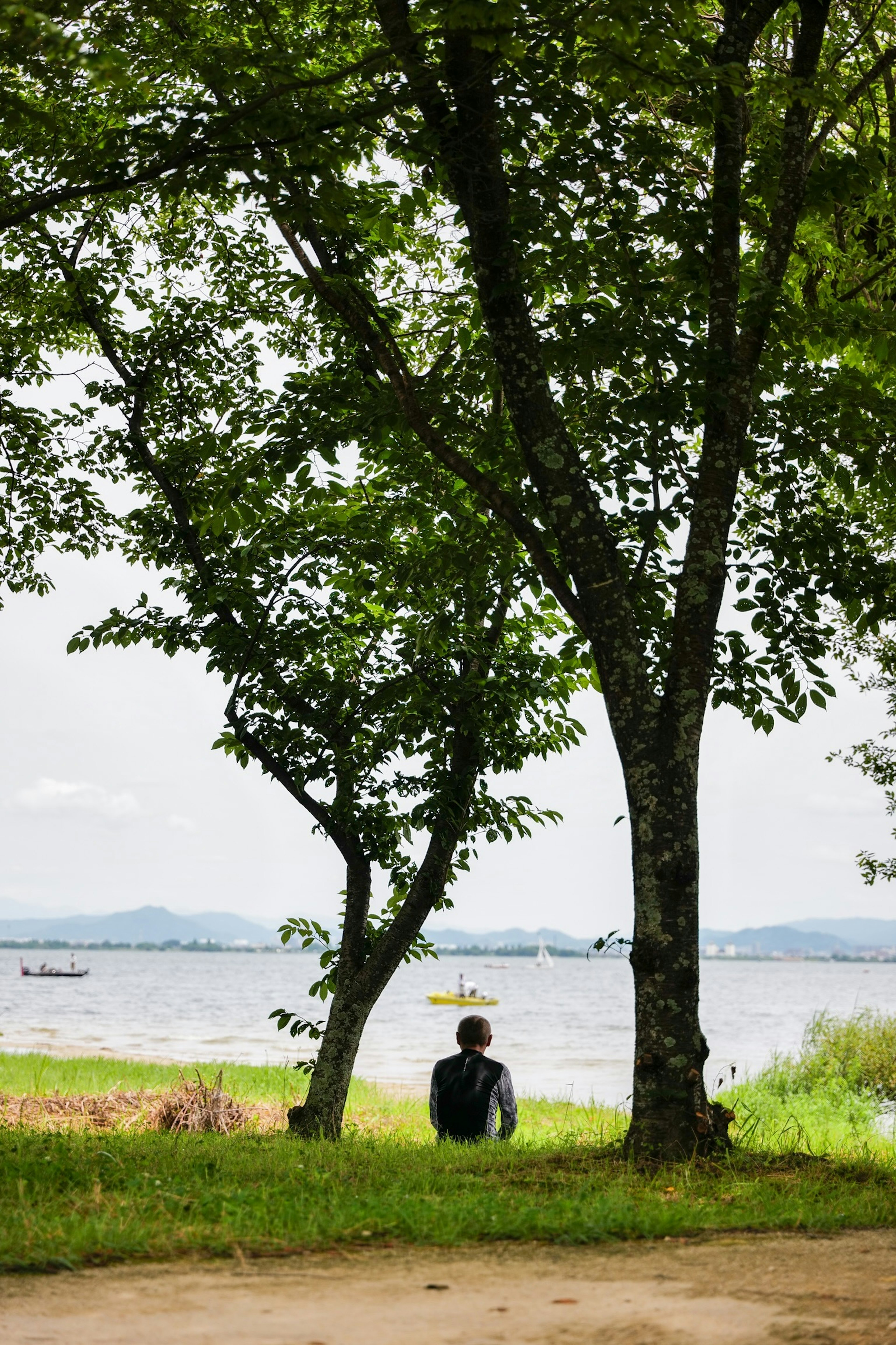 A person sitting near a lake surrounded by trees