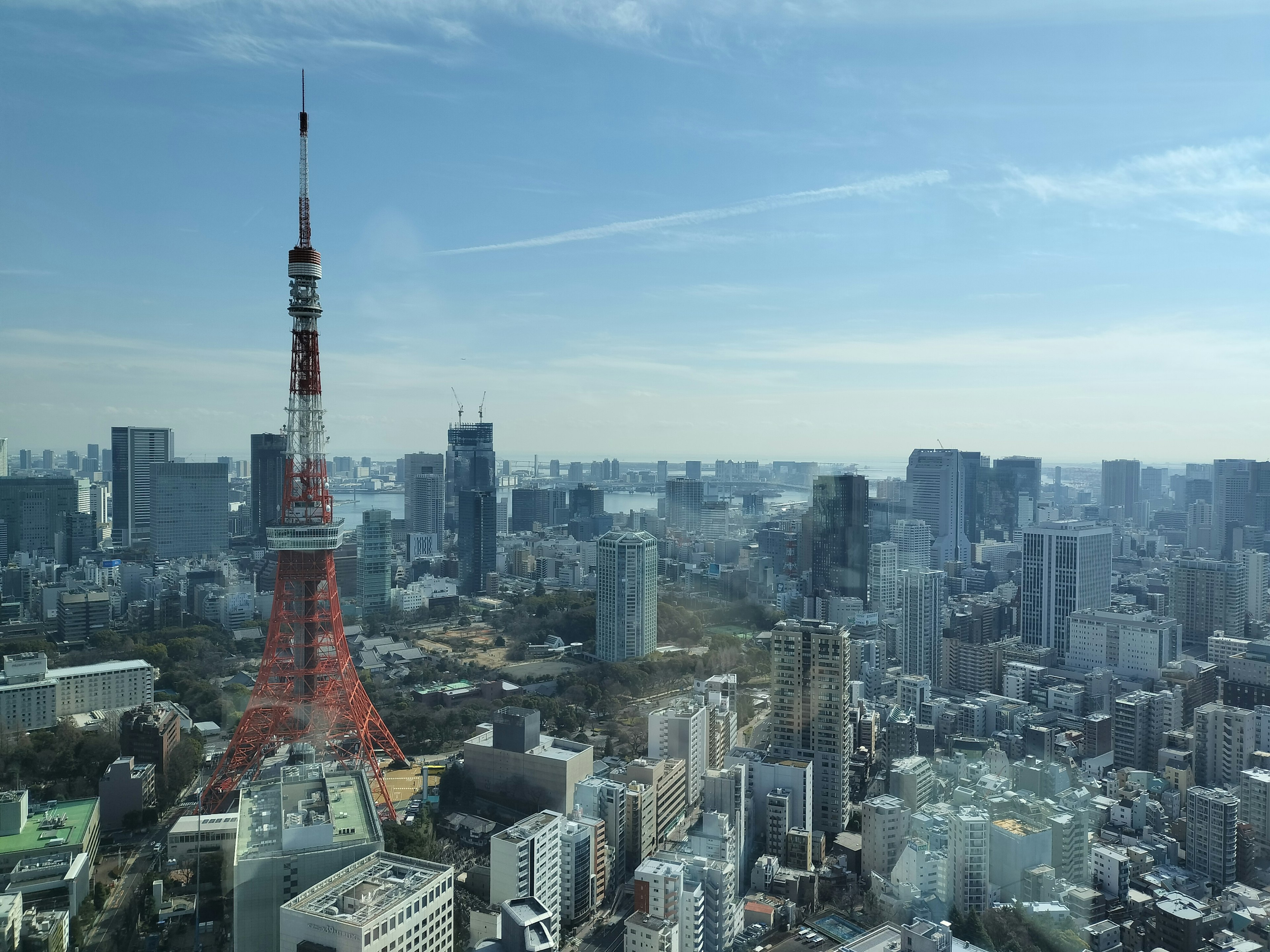 東京タワーが見える東京の都市景観