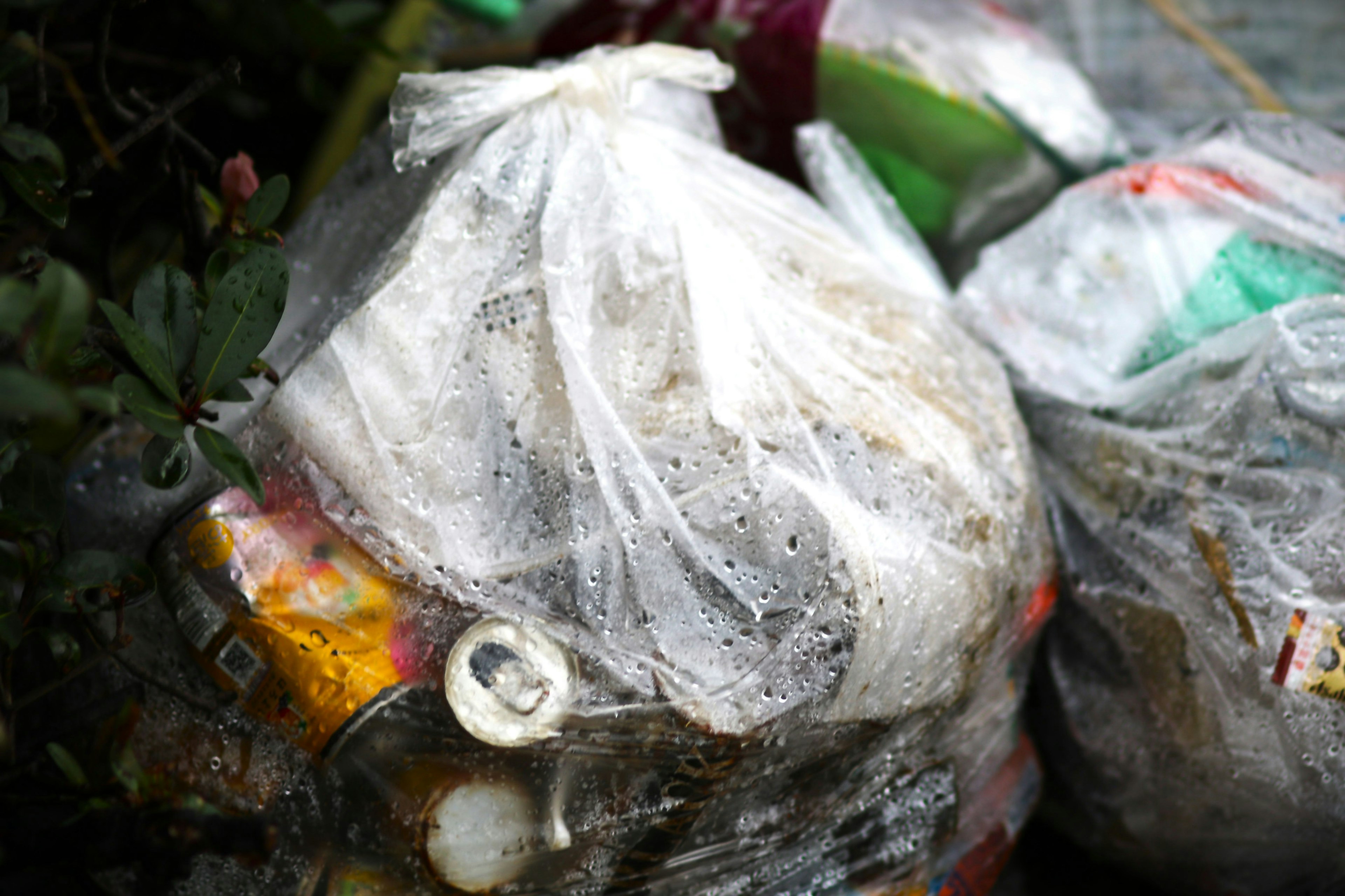 A pile of garbage in a transparent plastic bag with a background of plants