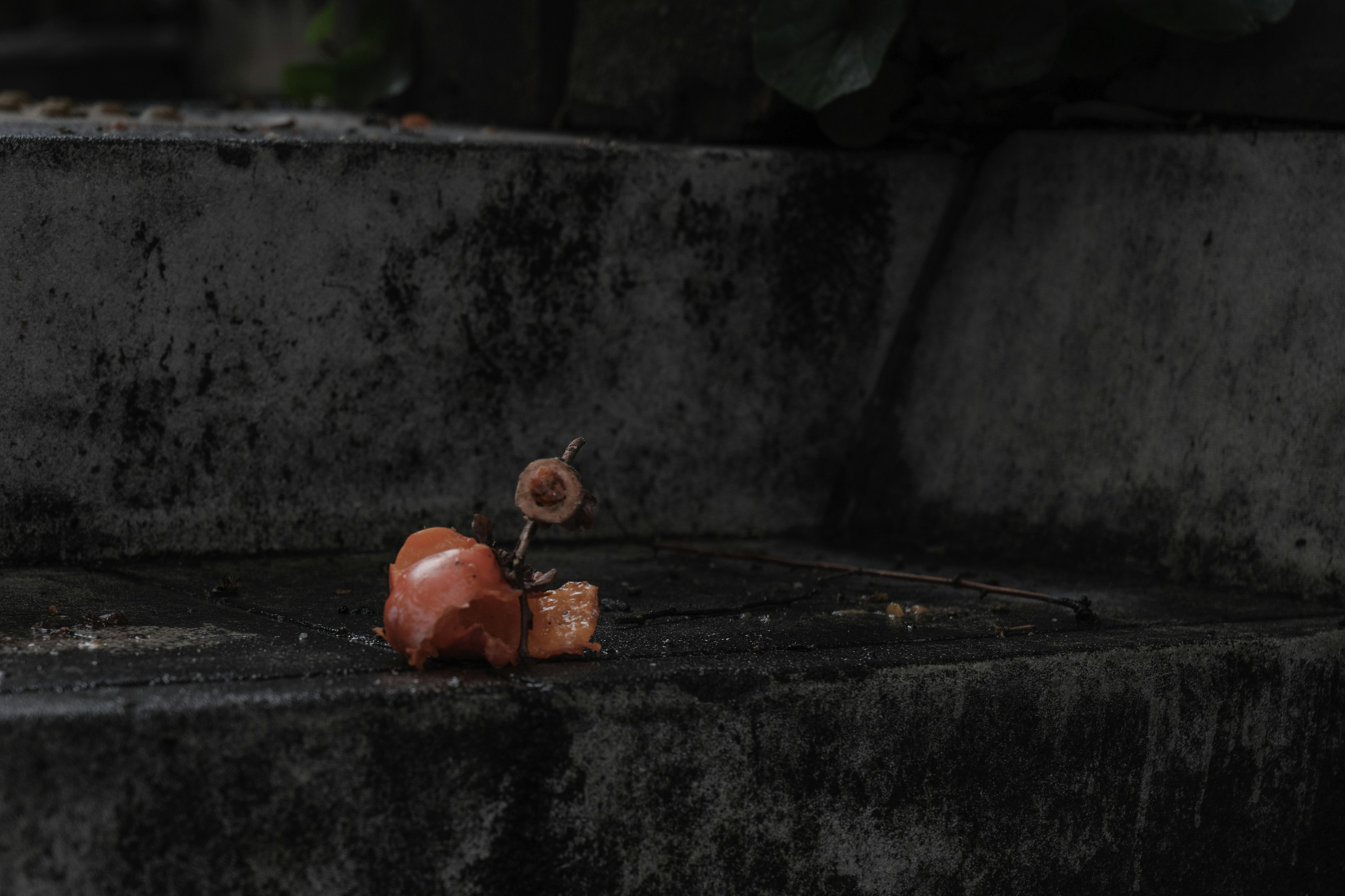 Image of a decayed fruit and stick placed on steps