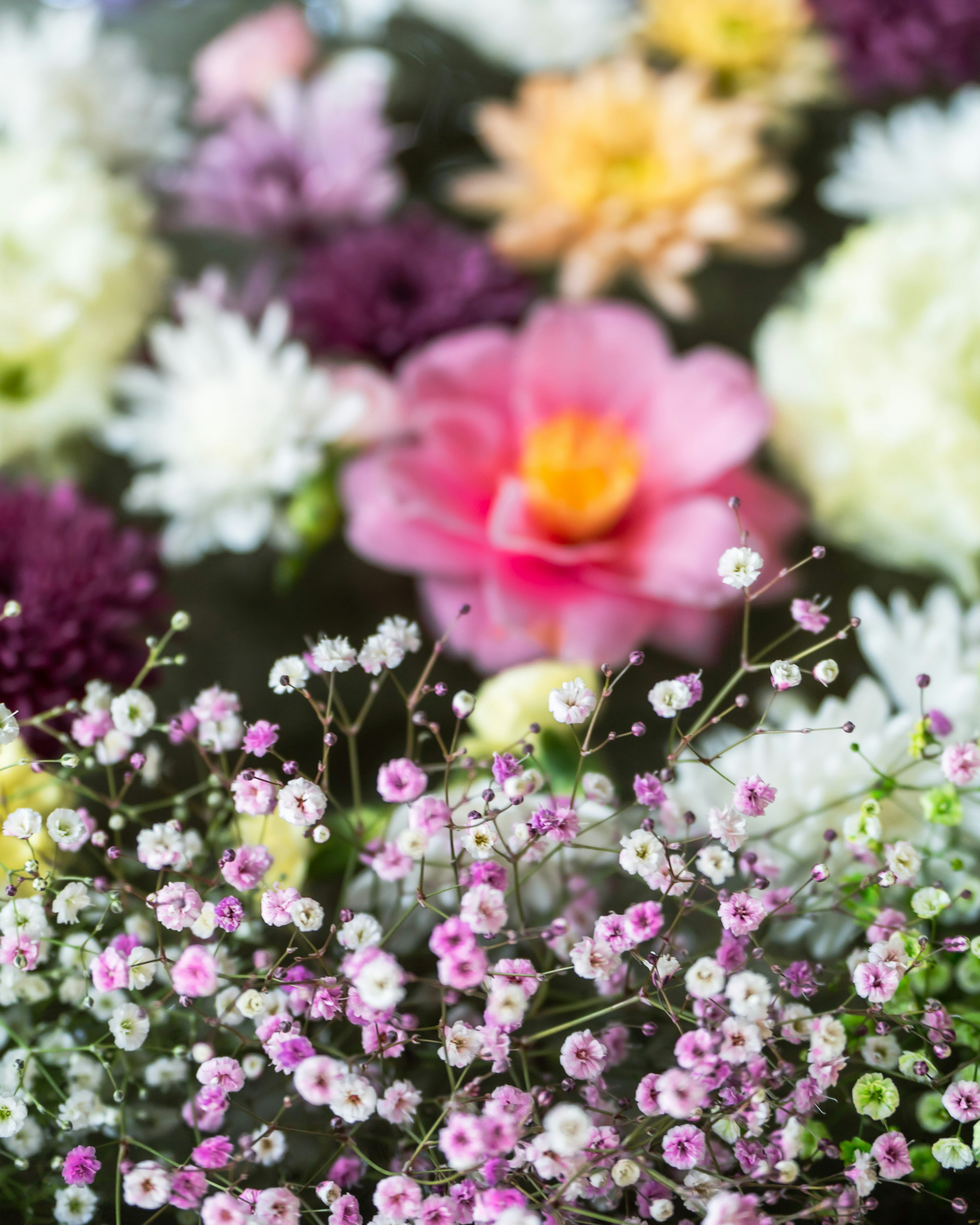 色とりどりの花が散りばめられた美しいアレンジメント