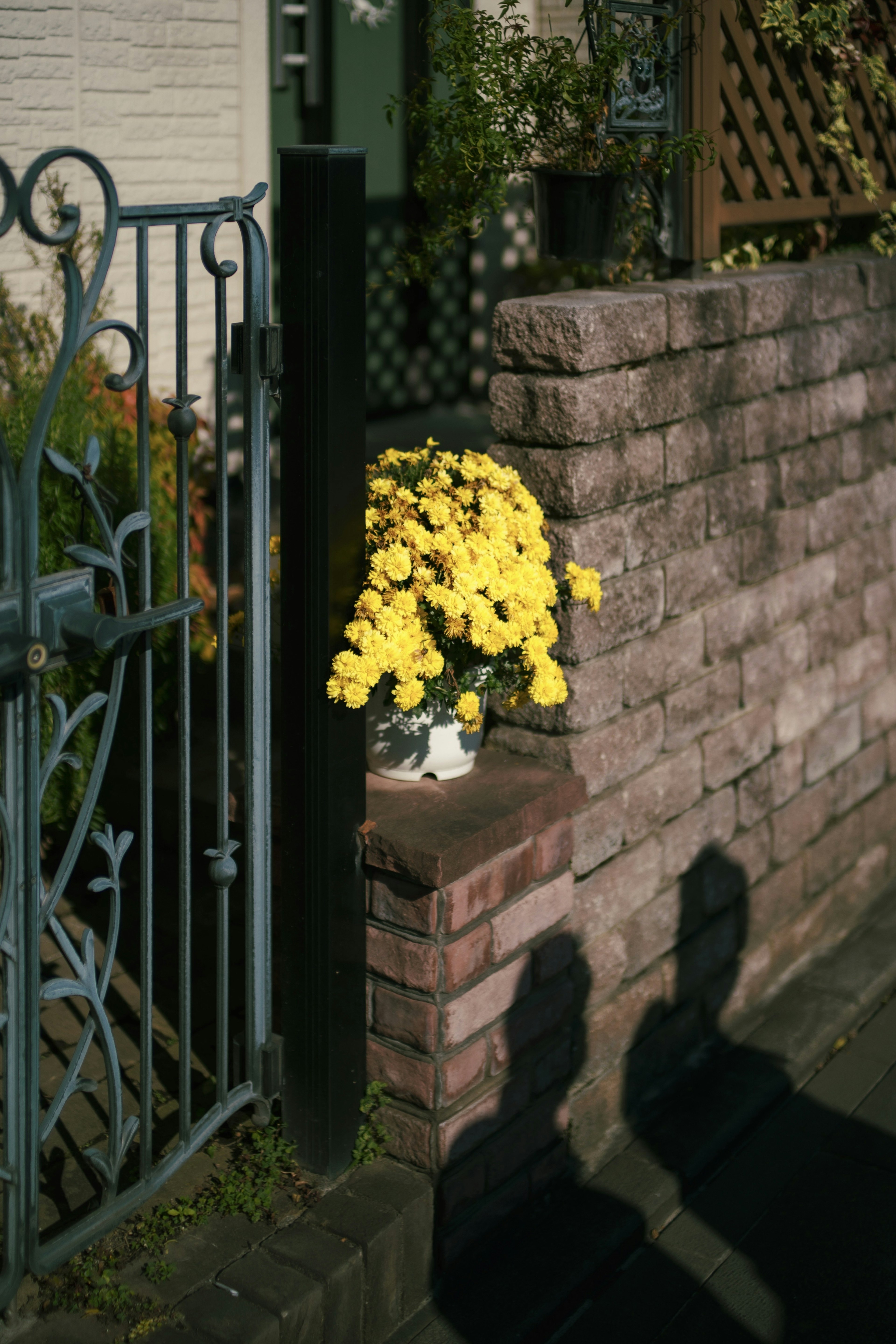 黄色の花が置かれたレンガの壁と鉄のゲートのある風景