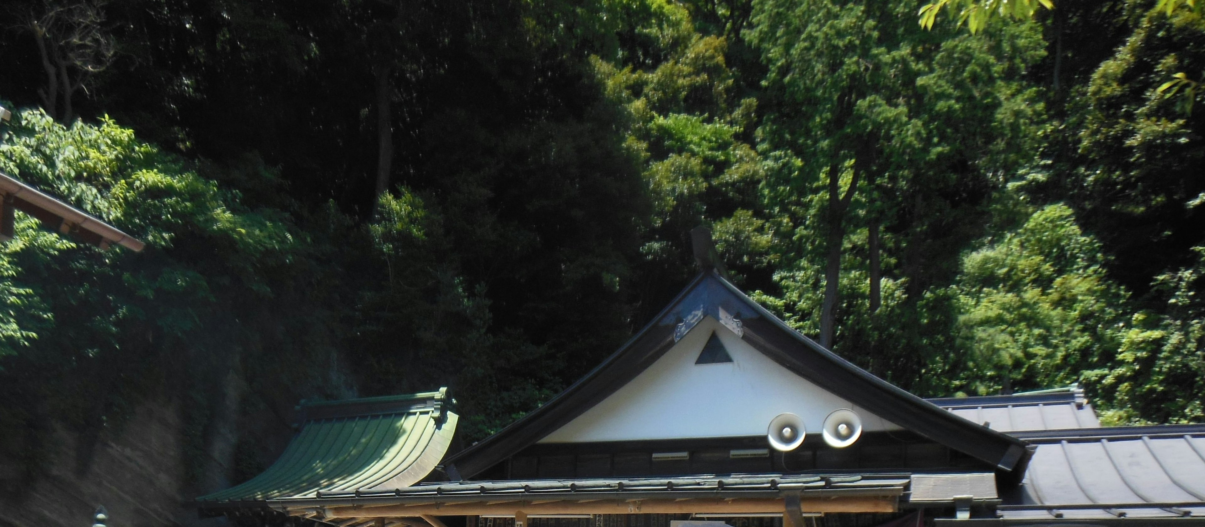 Toit d'un bâtiment traditionnel japonais entouré d'une végétation luxuriante