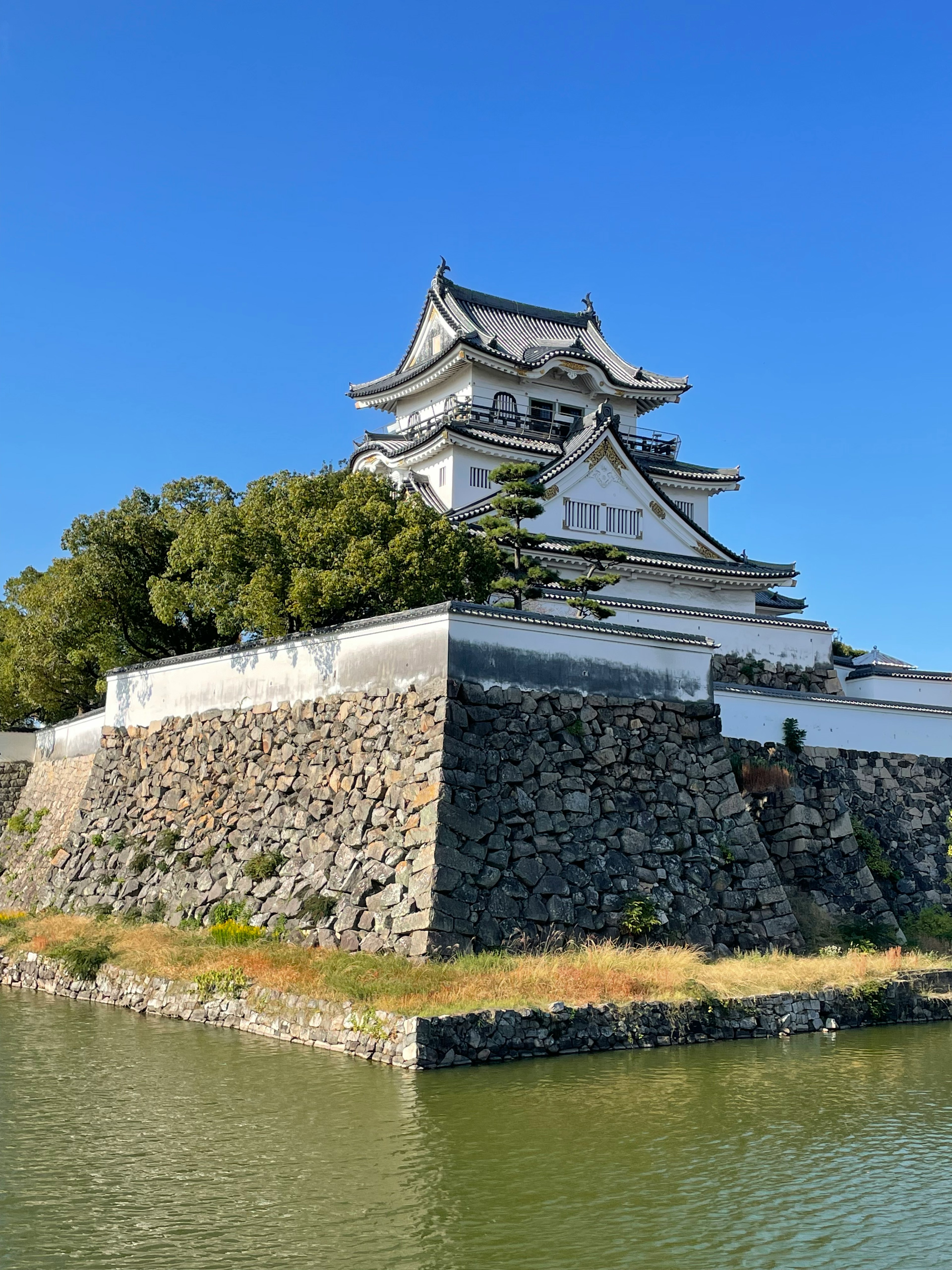 白い城と石垣が水辺に立つ美しい景観