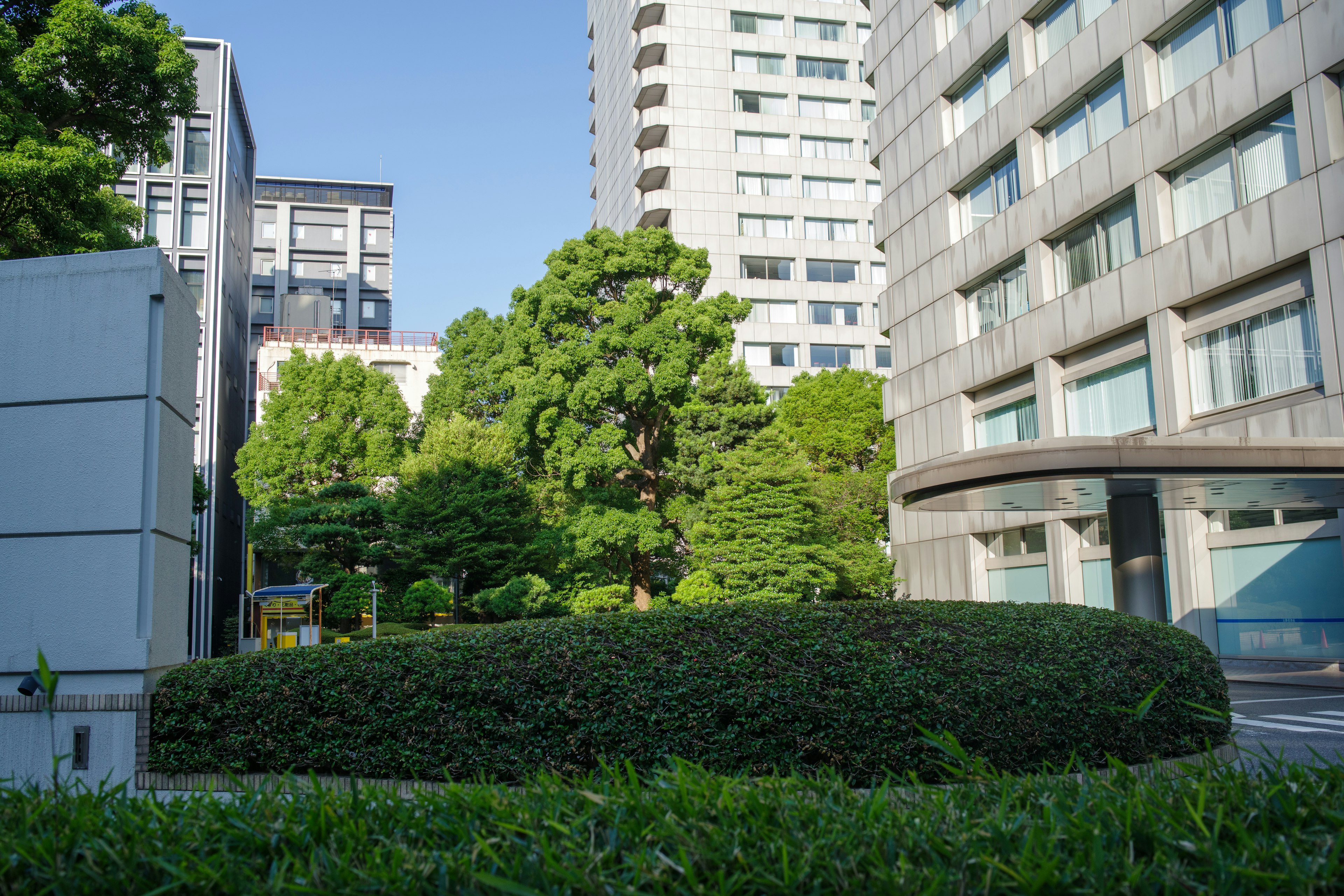 Urban park with greenery and modern buildings