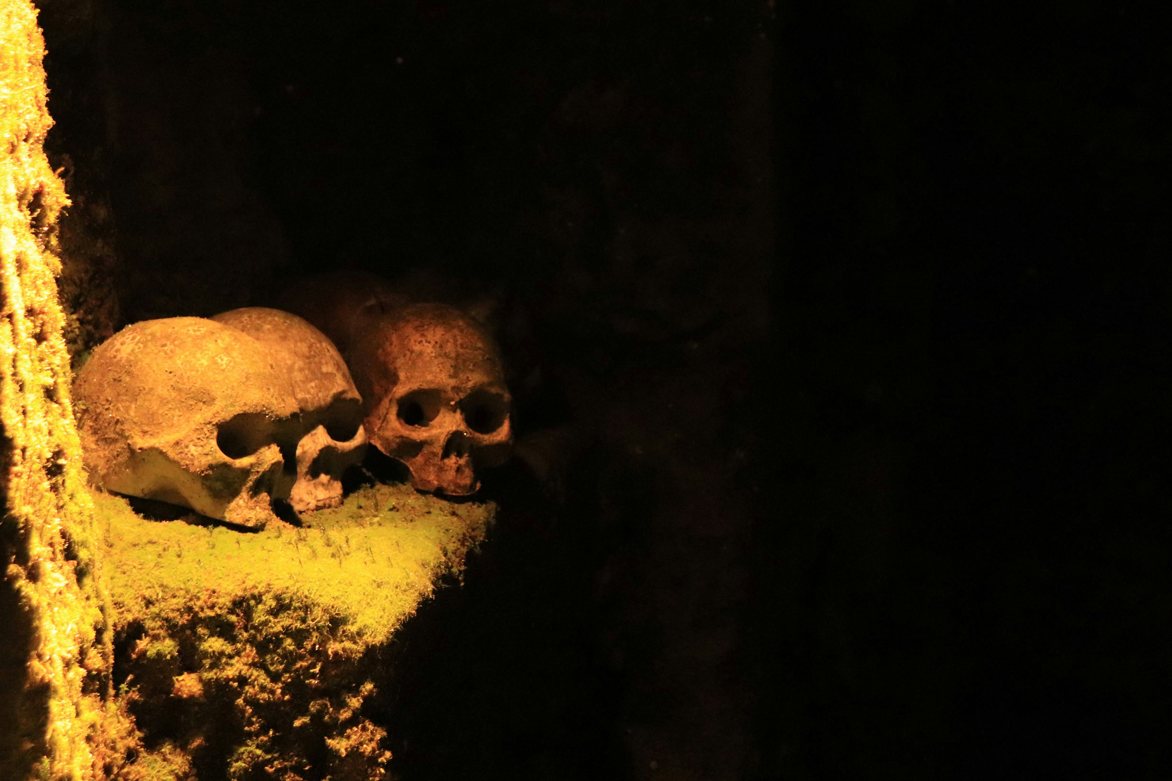 Image montrant deux crânes reposant dans un espace sombre